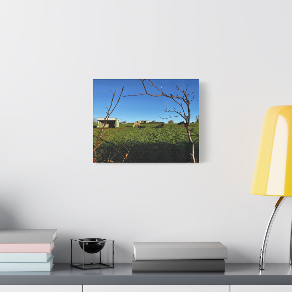 Irish Country Pasture Canvas Print — Matte Stretched Wall Art