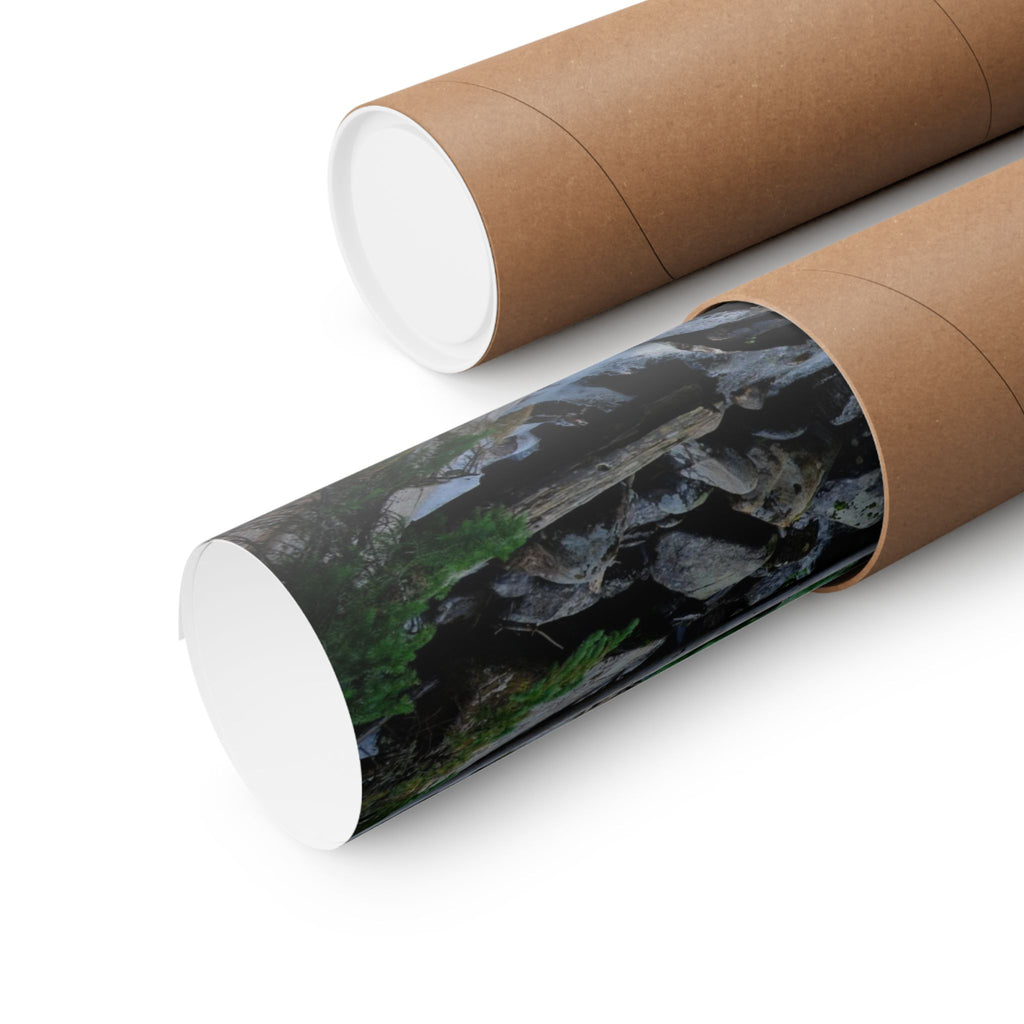 Mountain Stream Forest Matte Poster — Vertical Nature Wall Art