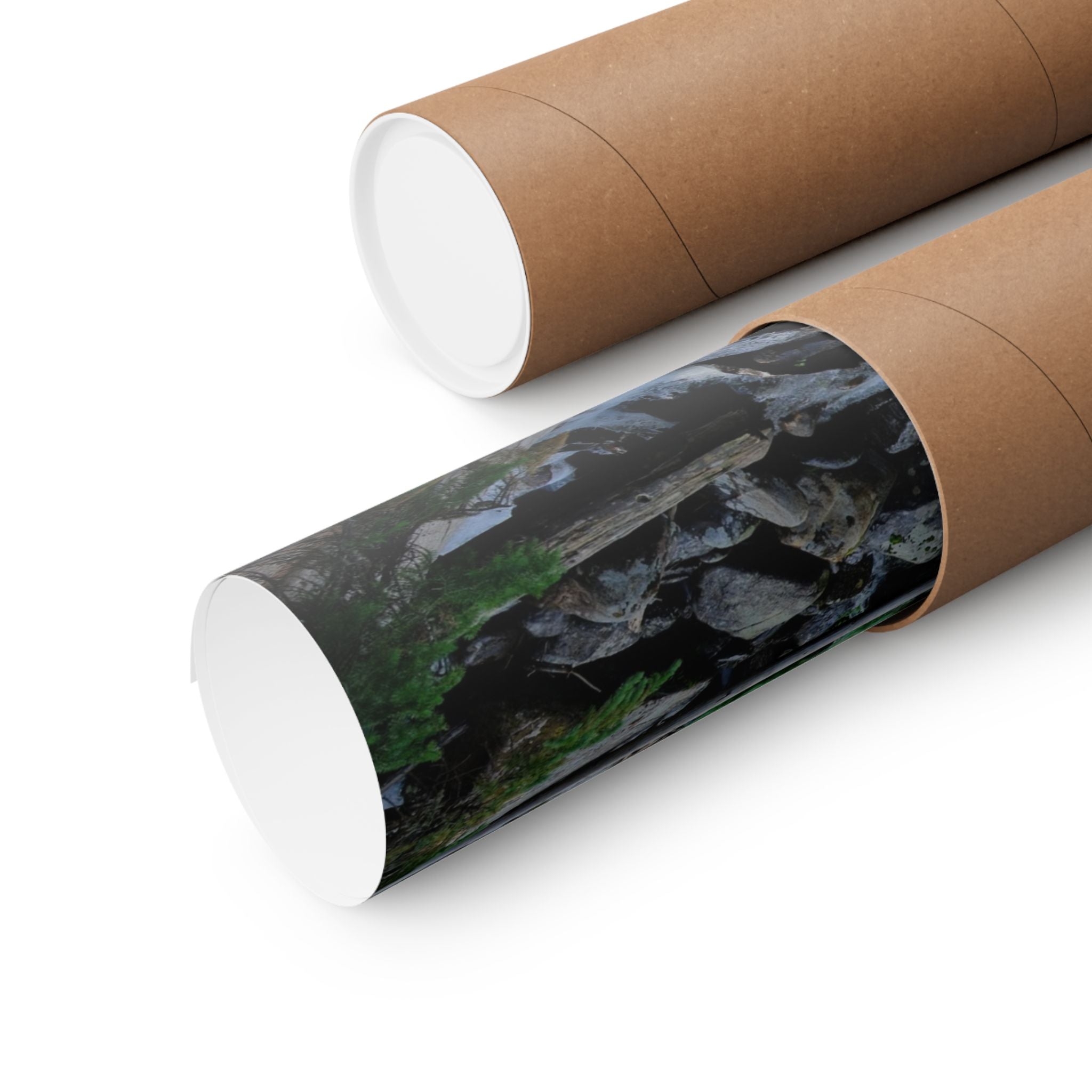 Mountain Stream Forest Matte Poster — Vertical Nature Wall Art