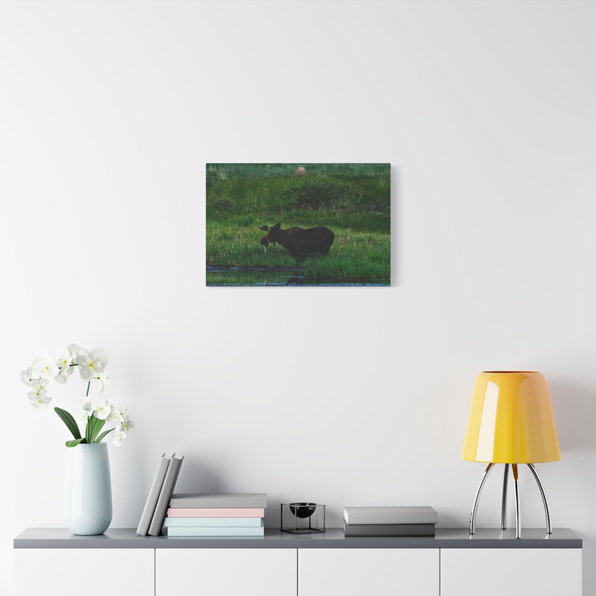 Munching Moose Matte Canvas Print — Stretched Wildlife Wall Art