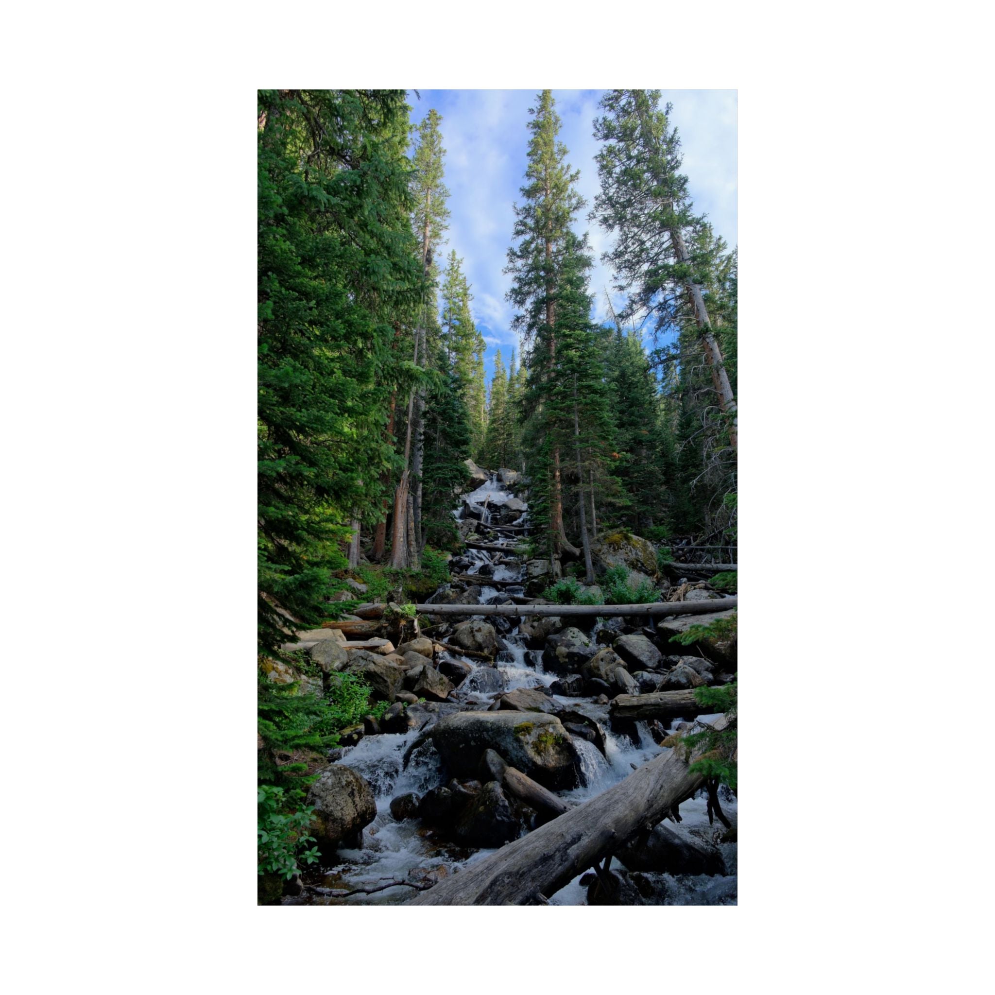 Mountain Stream Forest Matte Poster — Vertical Nature Wall Art