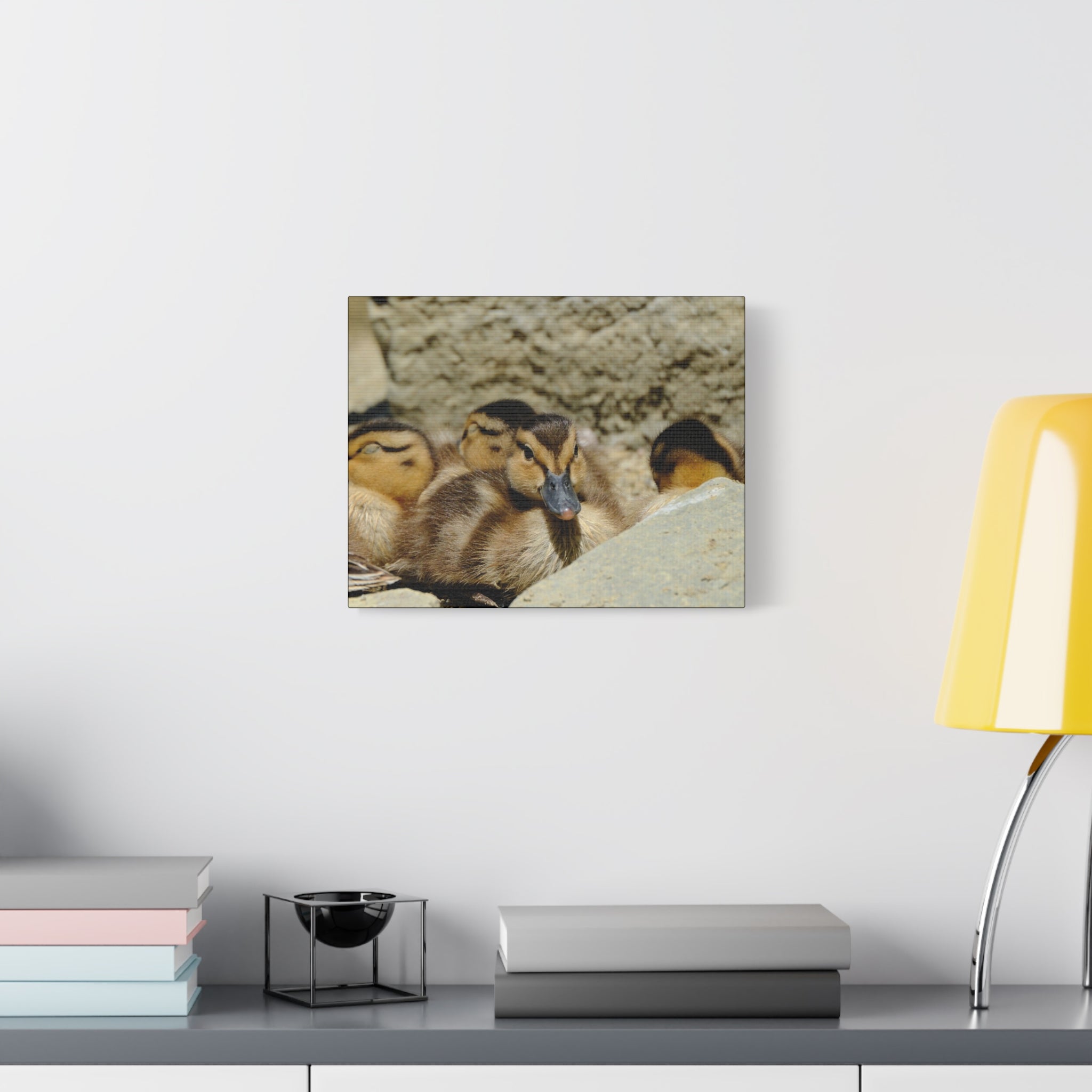 Duckling Canvas Print - Cute Baby Ducks Matte Stretched Wall Art
