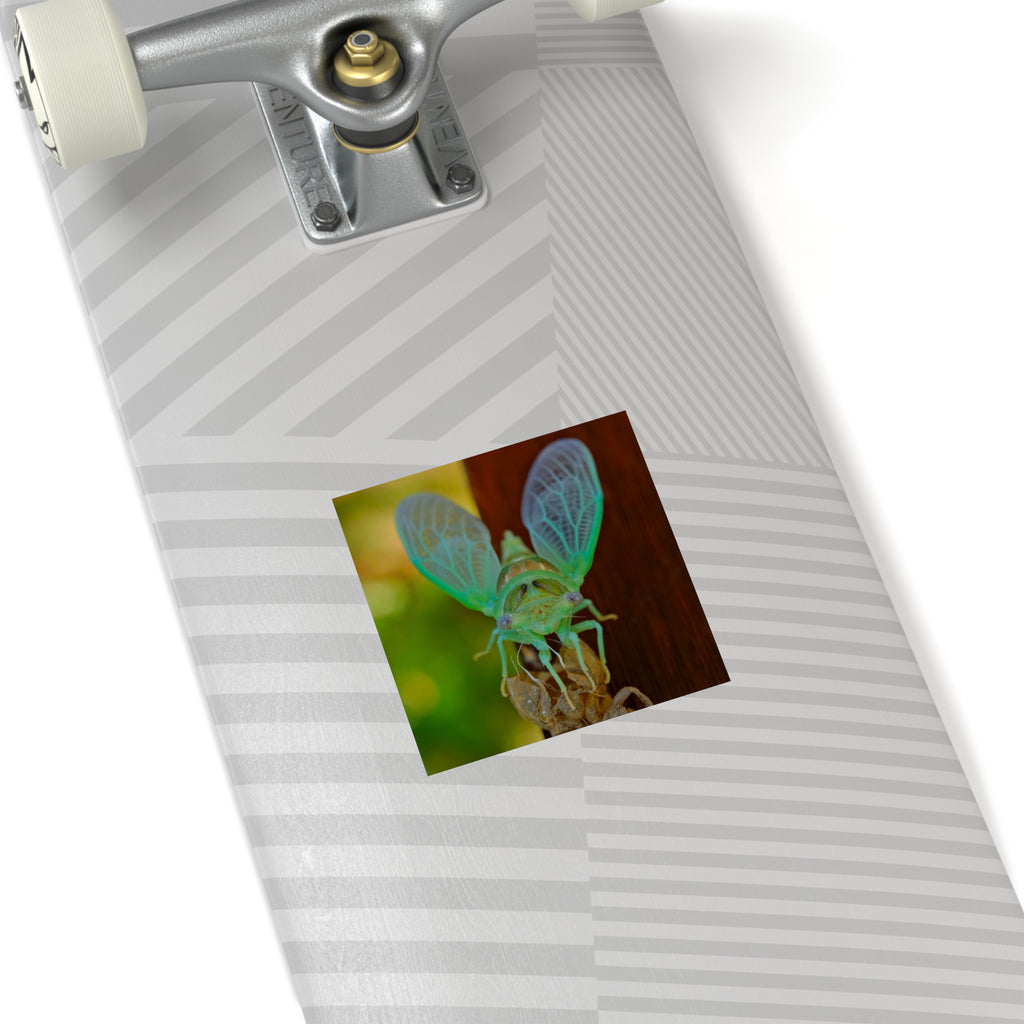 Cicada Square Sticker — Vivid Green Insect Photo Sticker (Indoor/Outdoor)