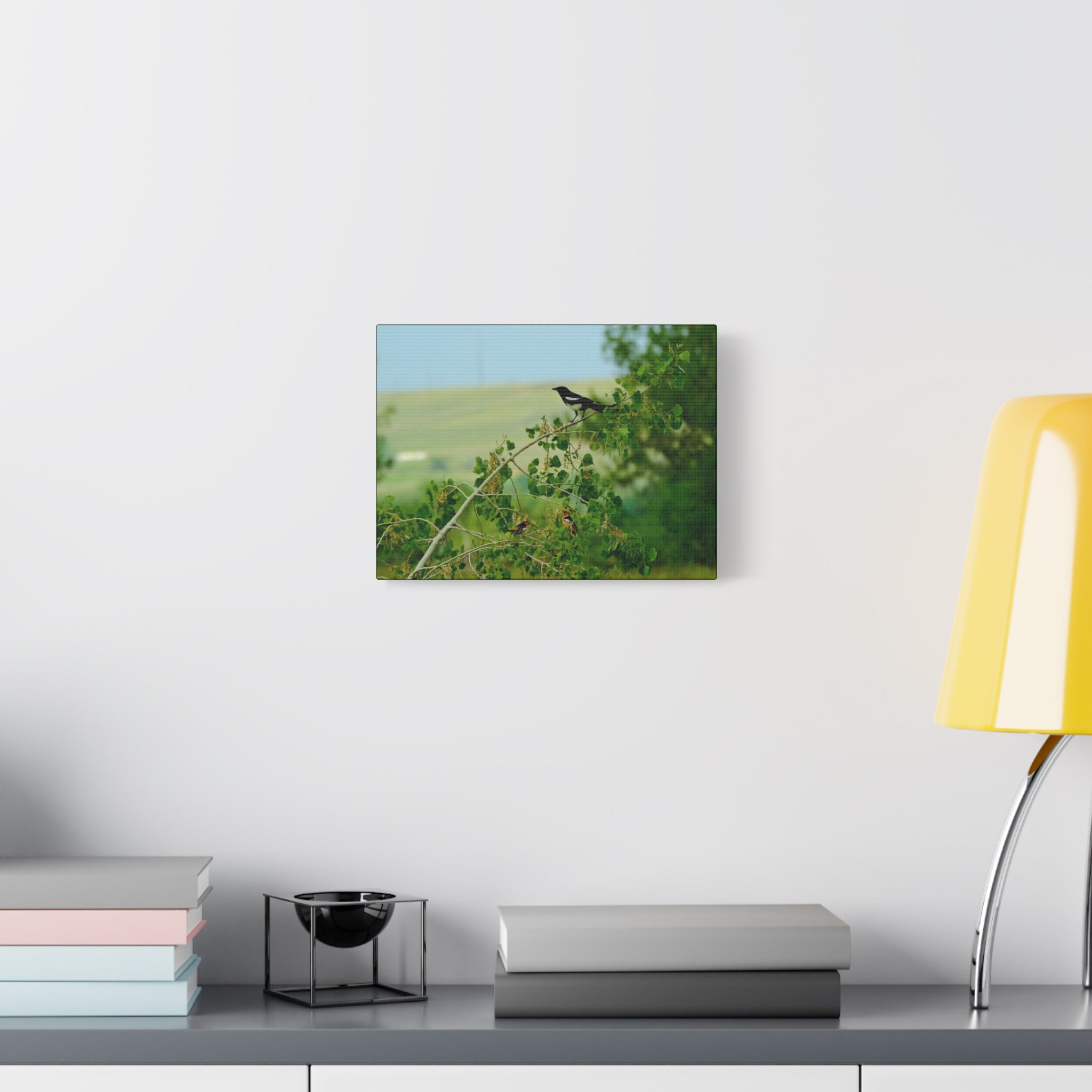 Magpie & Bullock's Oriole resting Matte Stretched Canvas Wall Art
