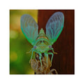 Cicada Square Sticker — Vivid Green Insect Photo Sticker (Indoor/Outdoor)