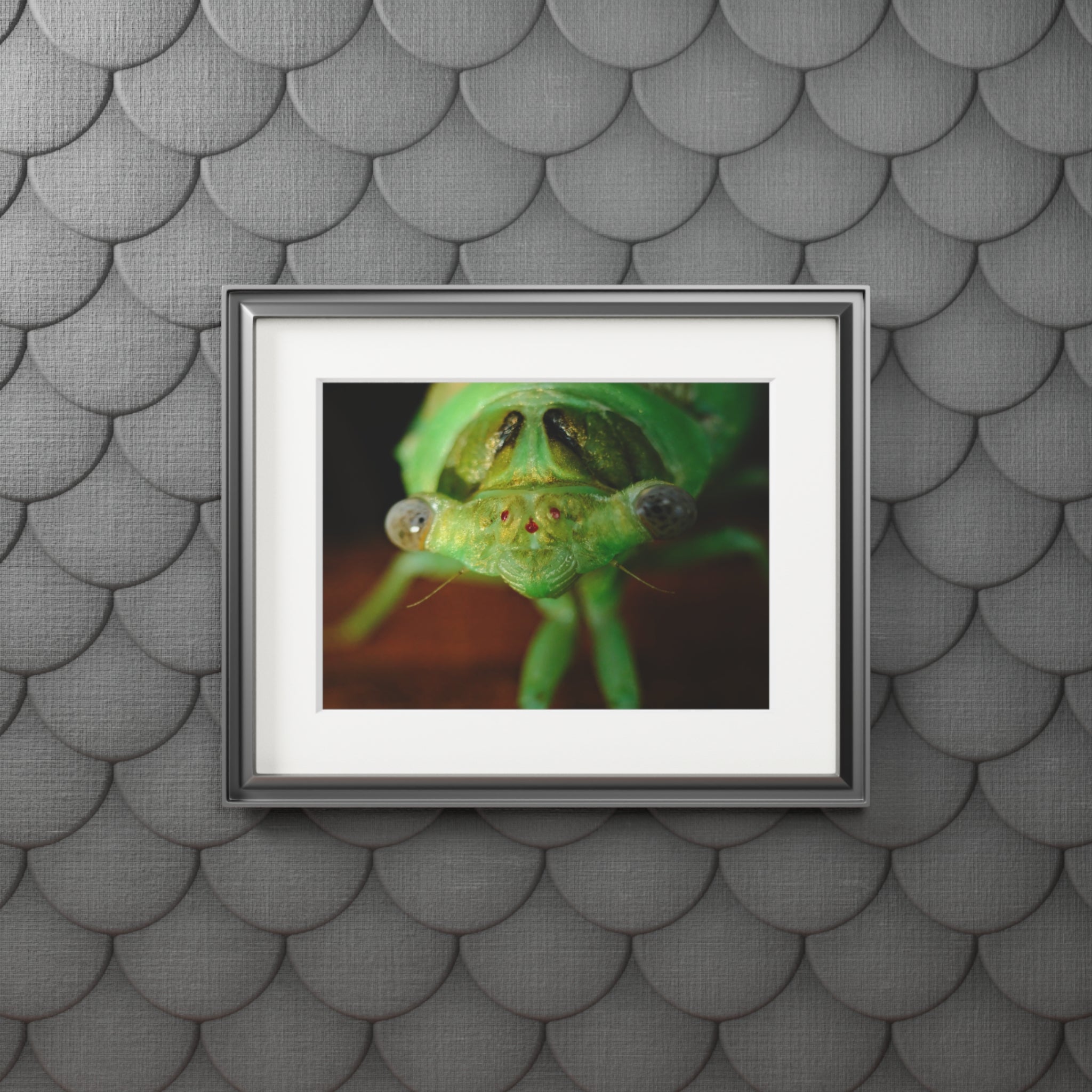 Cicada Macro Fine Art Print — Green Insect Close-Up with Passepartout