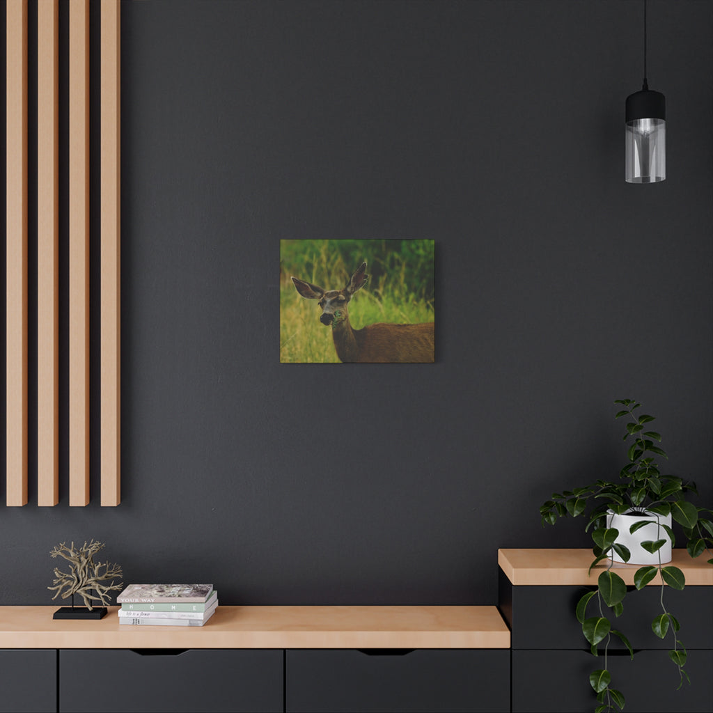 Doe Portrait Matte Canvas Wall Art