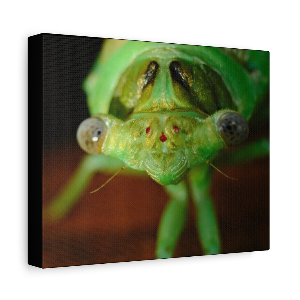 Cute Green Cicada Macro Canvas Print — Close-Up Insect Wall Art