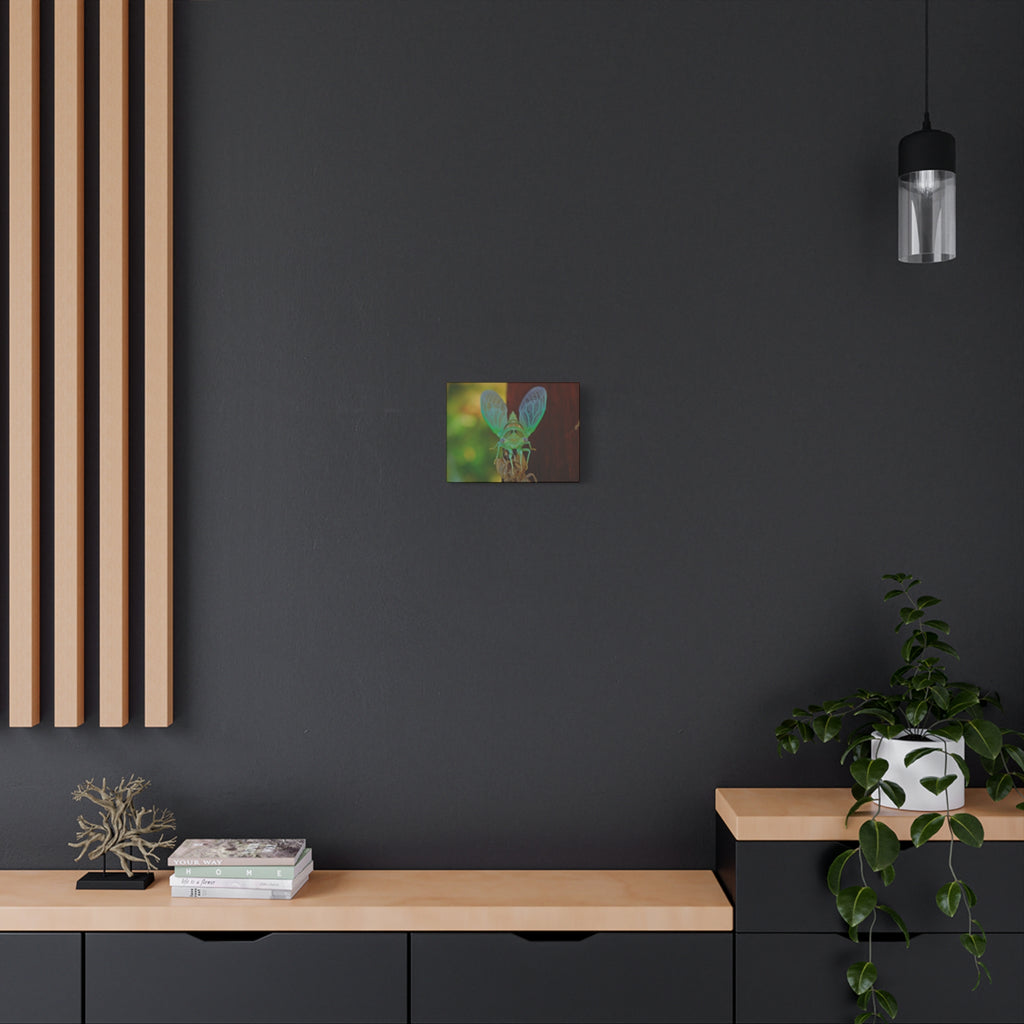The Cutest Green Cicada Canvas Print - Matte Stretched Wall Art