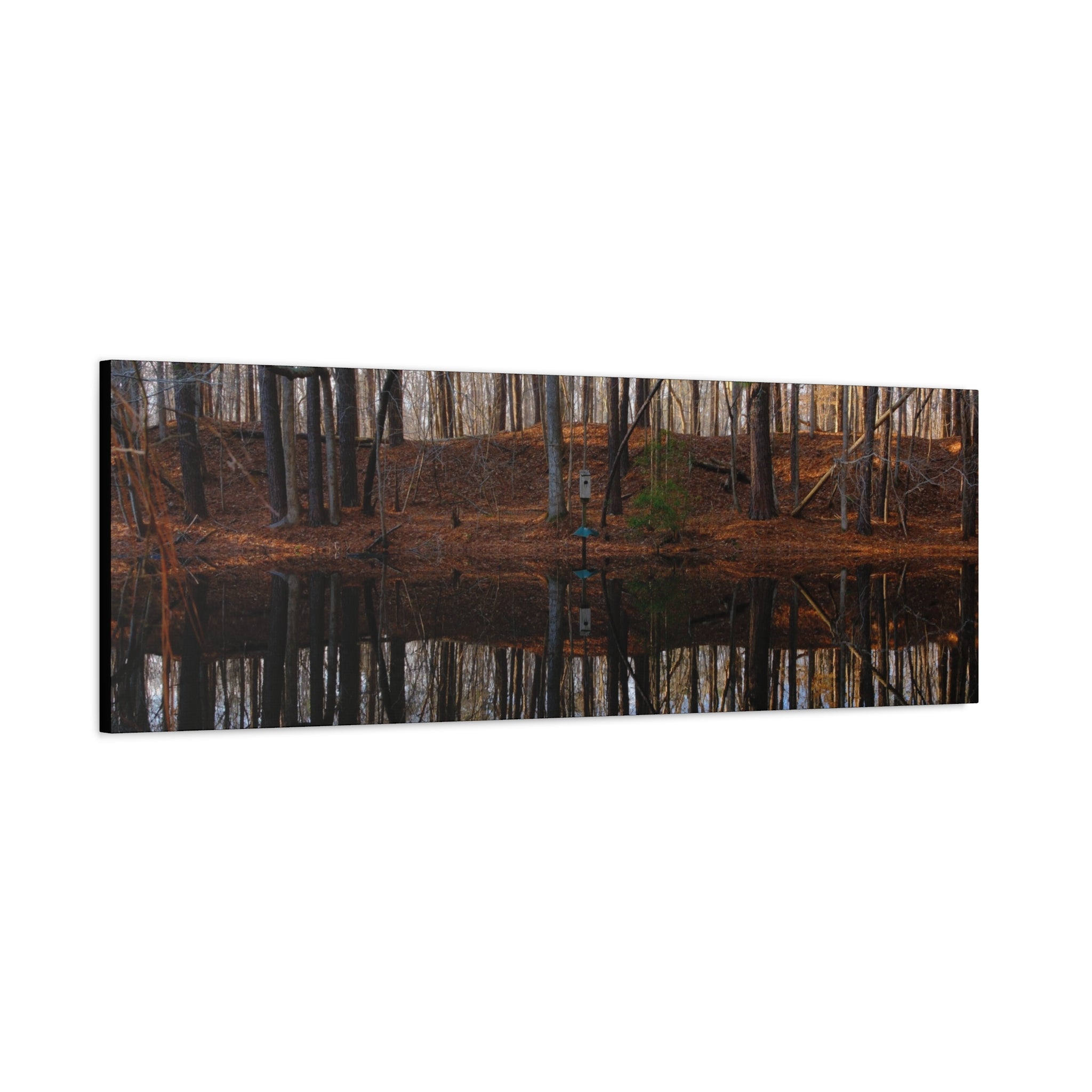 Woodland Reflection Matte Canvas Art – Stretched 1.25" Wall Decor