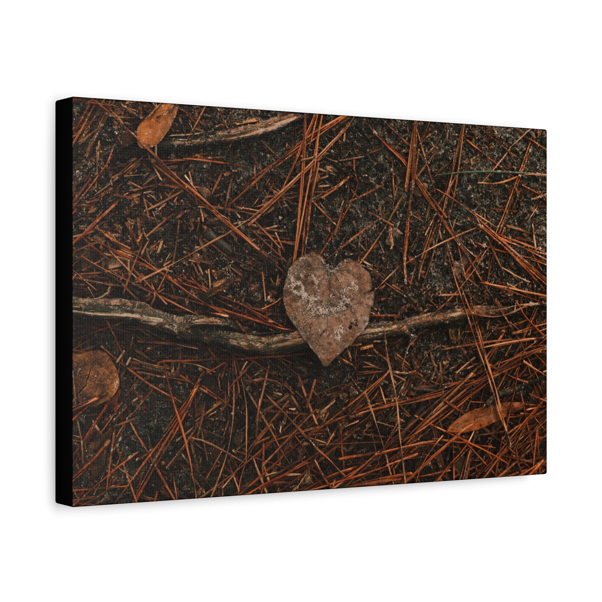 Love Your Forest Canvas Print – Rustic Nature Wall Art