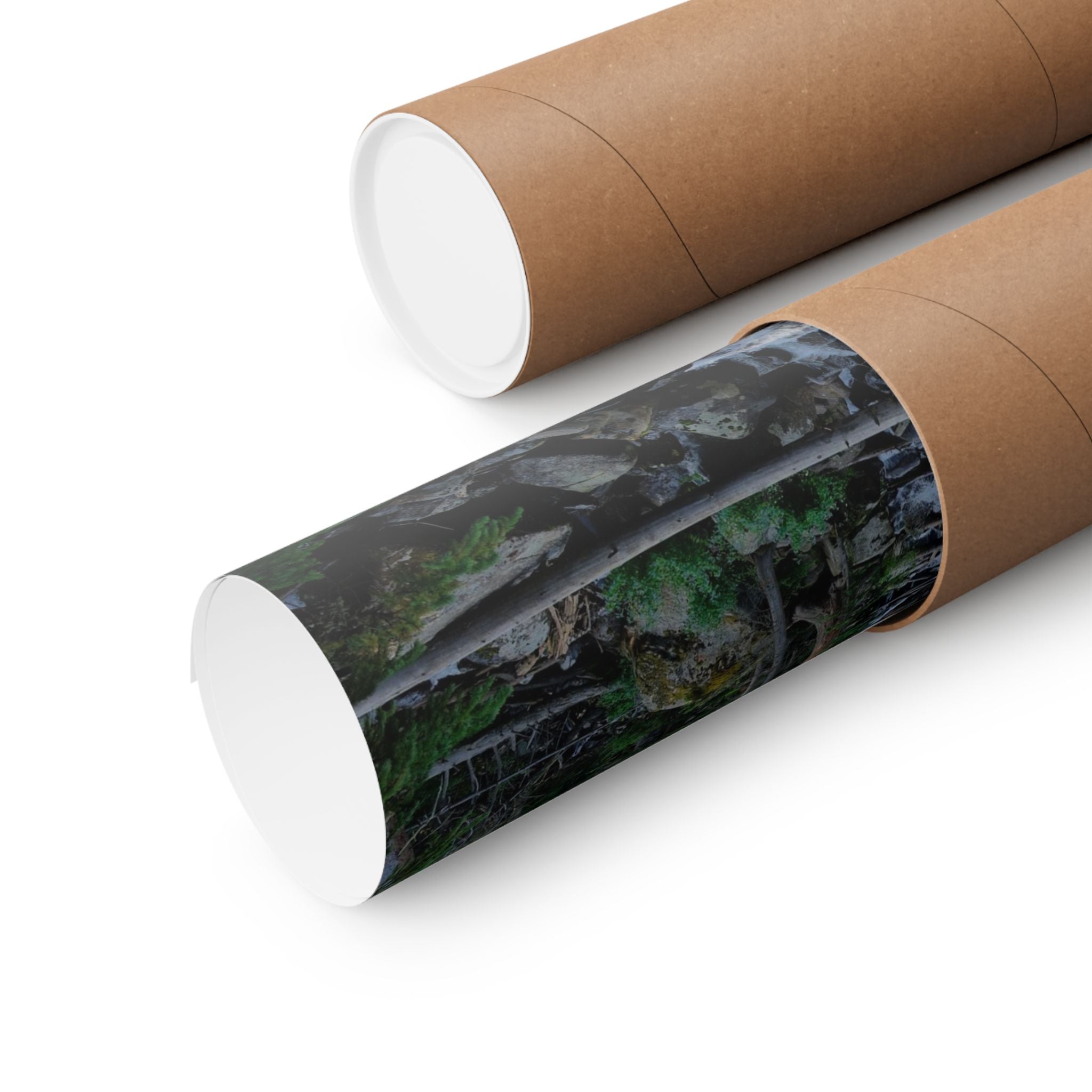 Mountain Stream Forest Matte Poster — Vertical Nature Wall Art