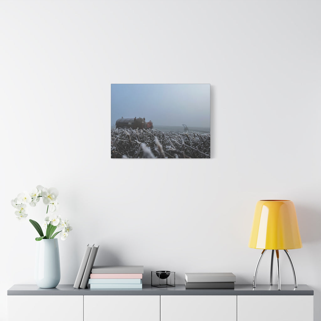 Irish Frost Farm Canvas Print — Foggy Shoreline with Frosted Driftwood