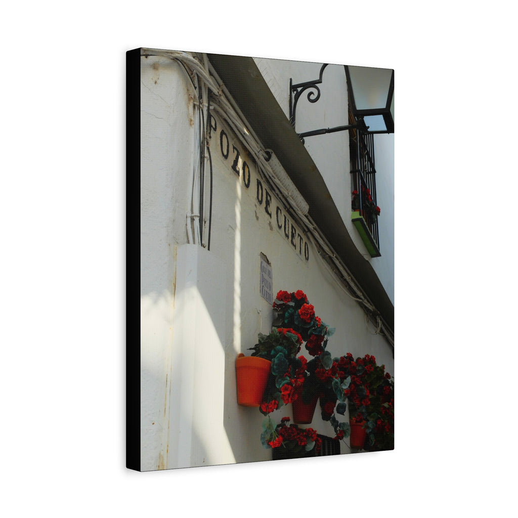 Spanish Street Flowers Canvas Print — 'Pozo de Cueto' Wall Art