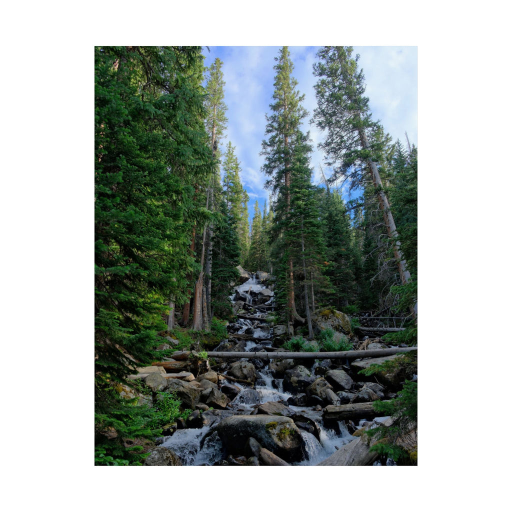 Mountain Stream Forest Matte Poster — Vertical Nature Wall Art