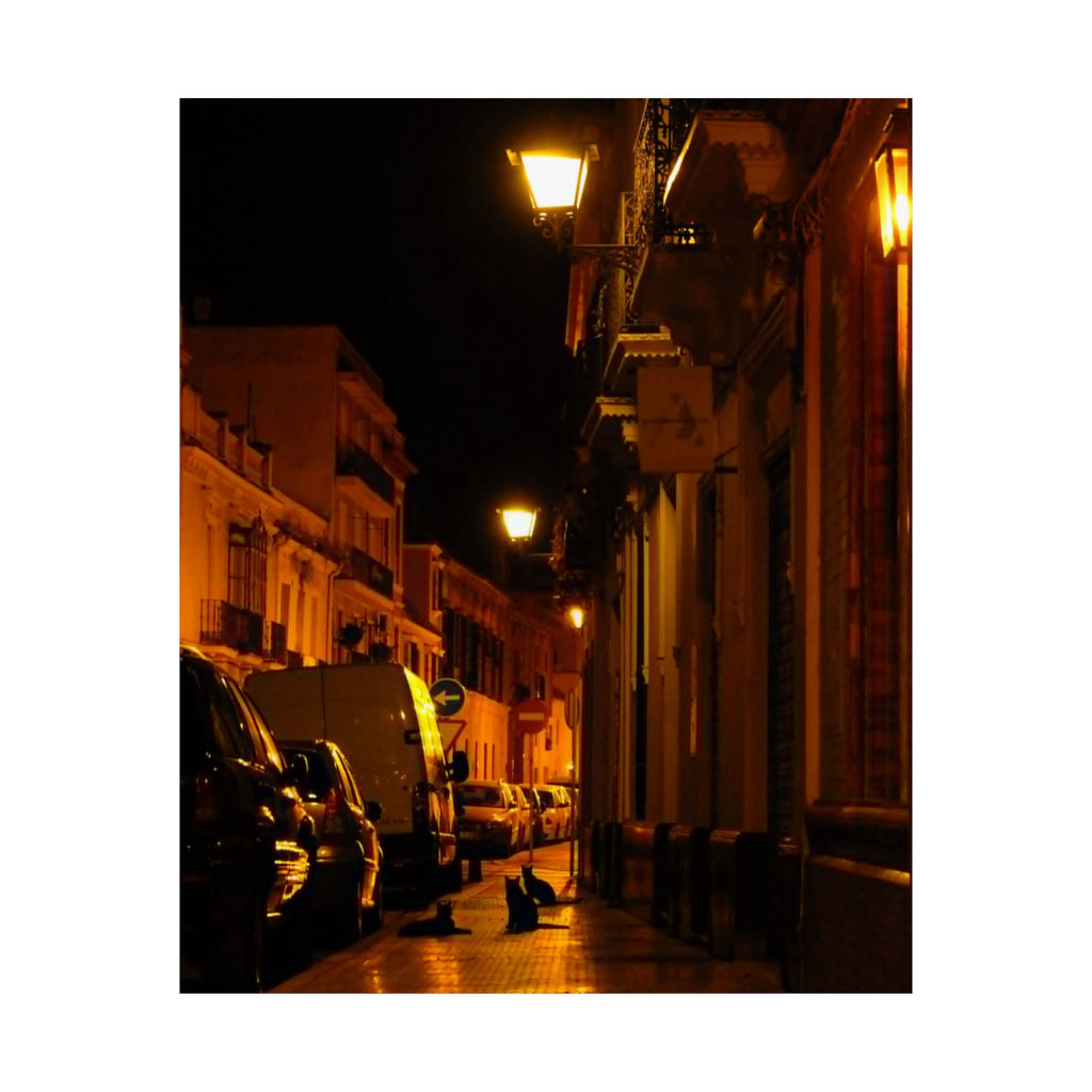 Secret Spanish Cat Committee Vertical Poster — Nighttime European Street with Warm Lamp Glow
