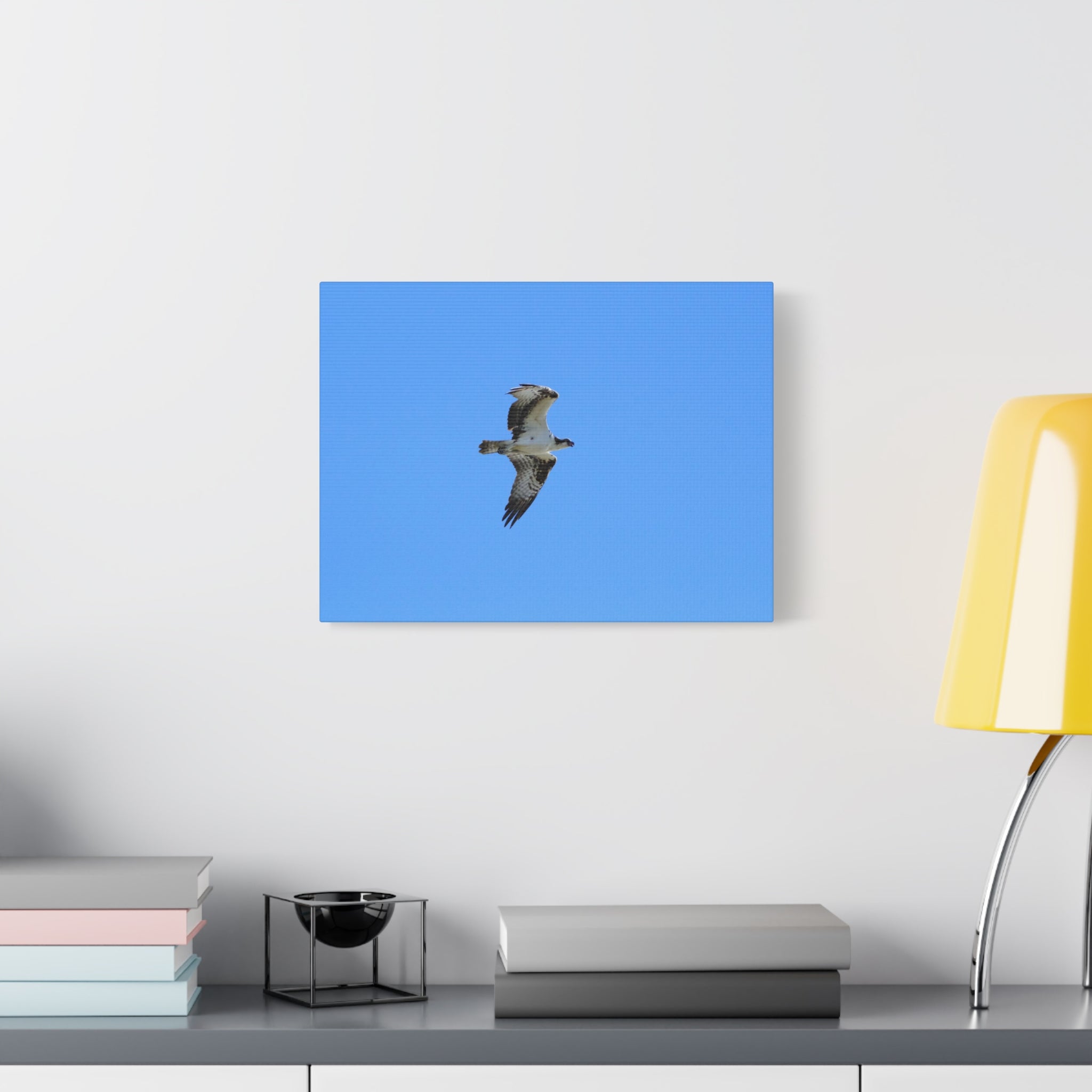 Osprey in Flight Matte Canvas Print — Stretched Wall Art