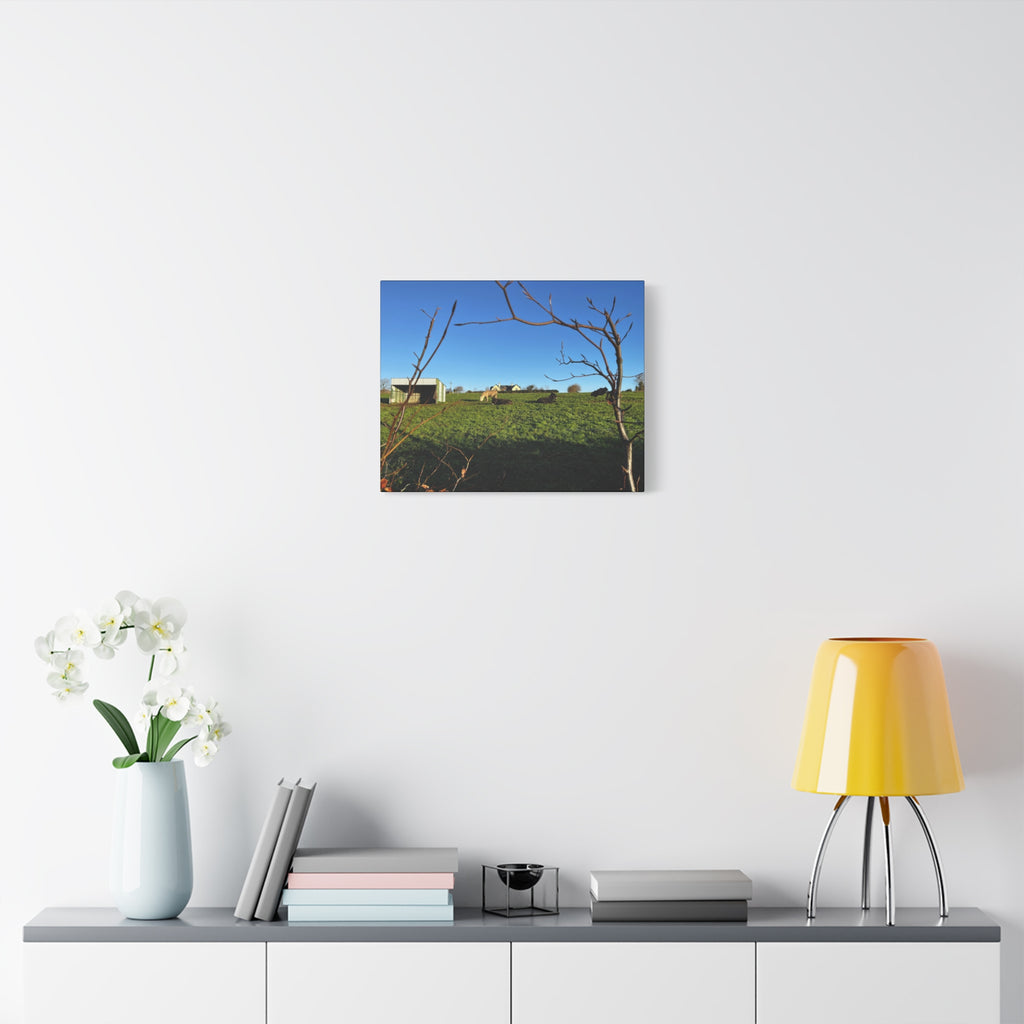 Irish Country Pasture Canvas Print — Matte Stretched Wall Art