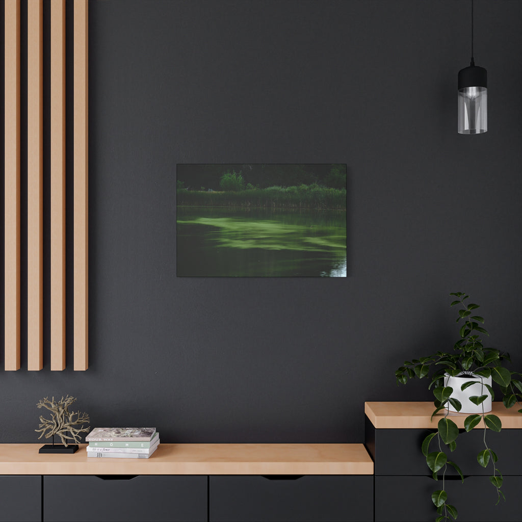 Not Your Average Bloom - Matte Canvas Wall Art Stretched 1.25"
