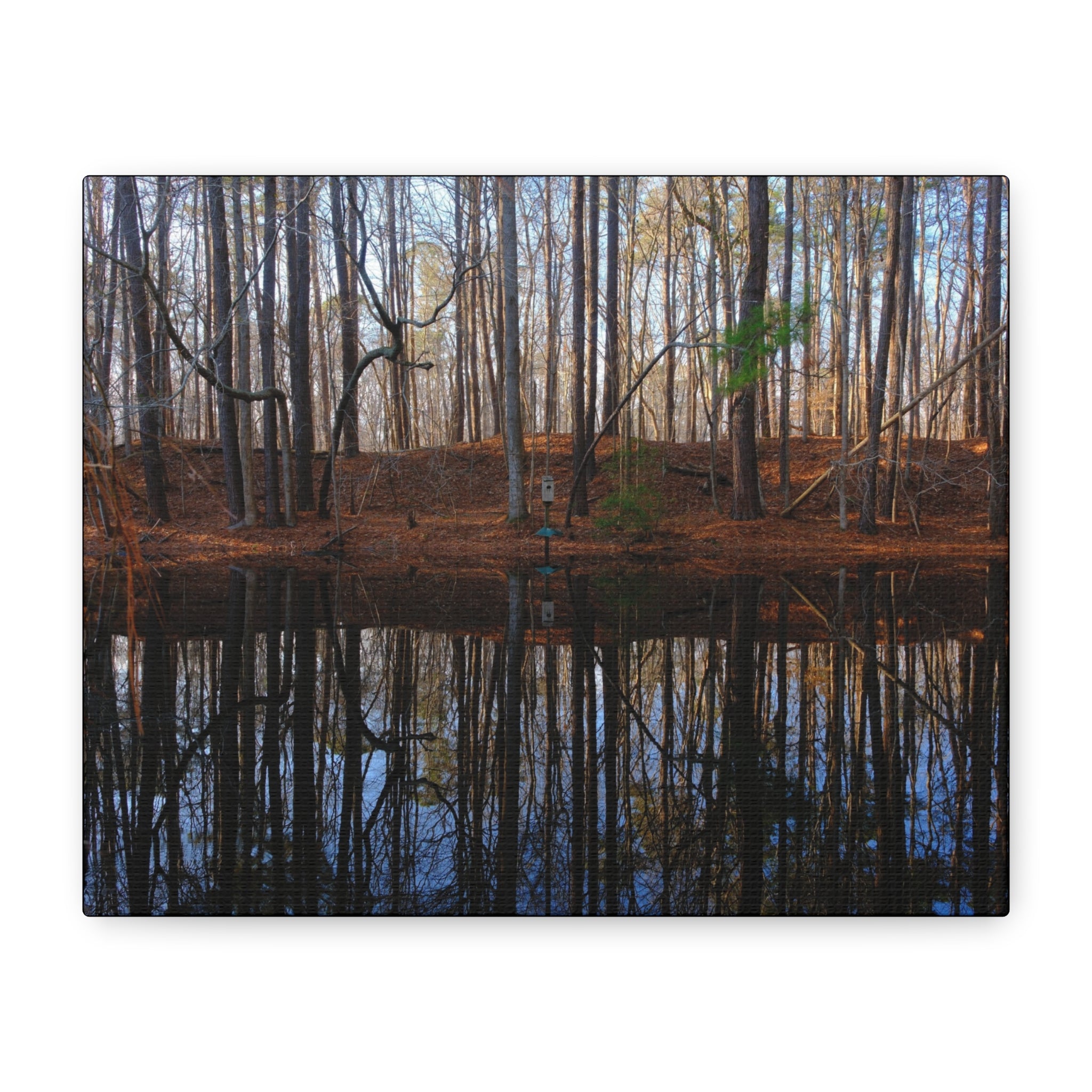 Woodland Reflection Matte Canvas Art – Stretched 1.25" Wall Decor