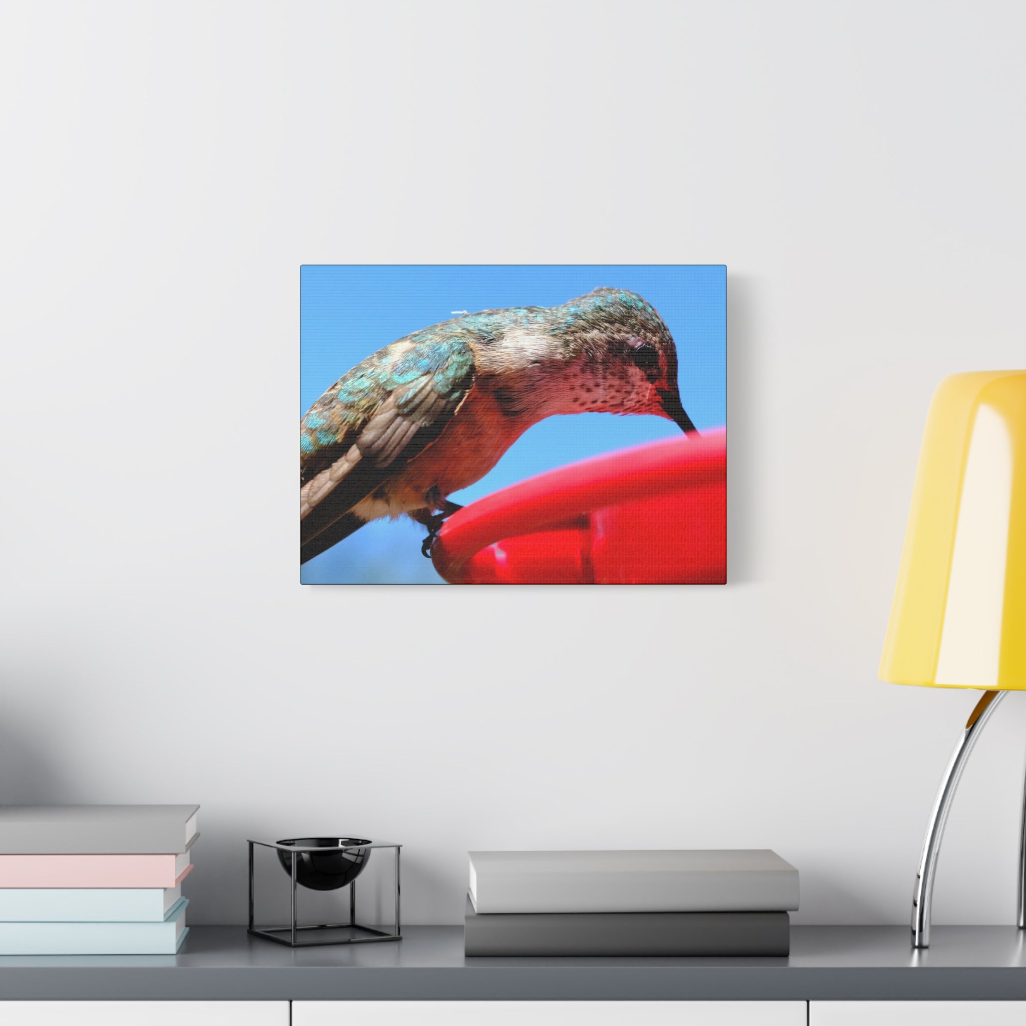 Hummingbird Close Up Canvas Print — Stretched Matte Wall Art