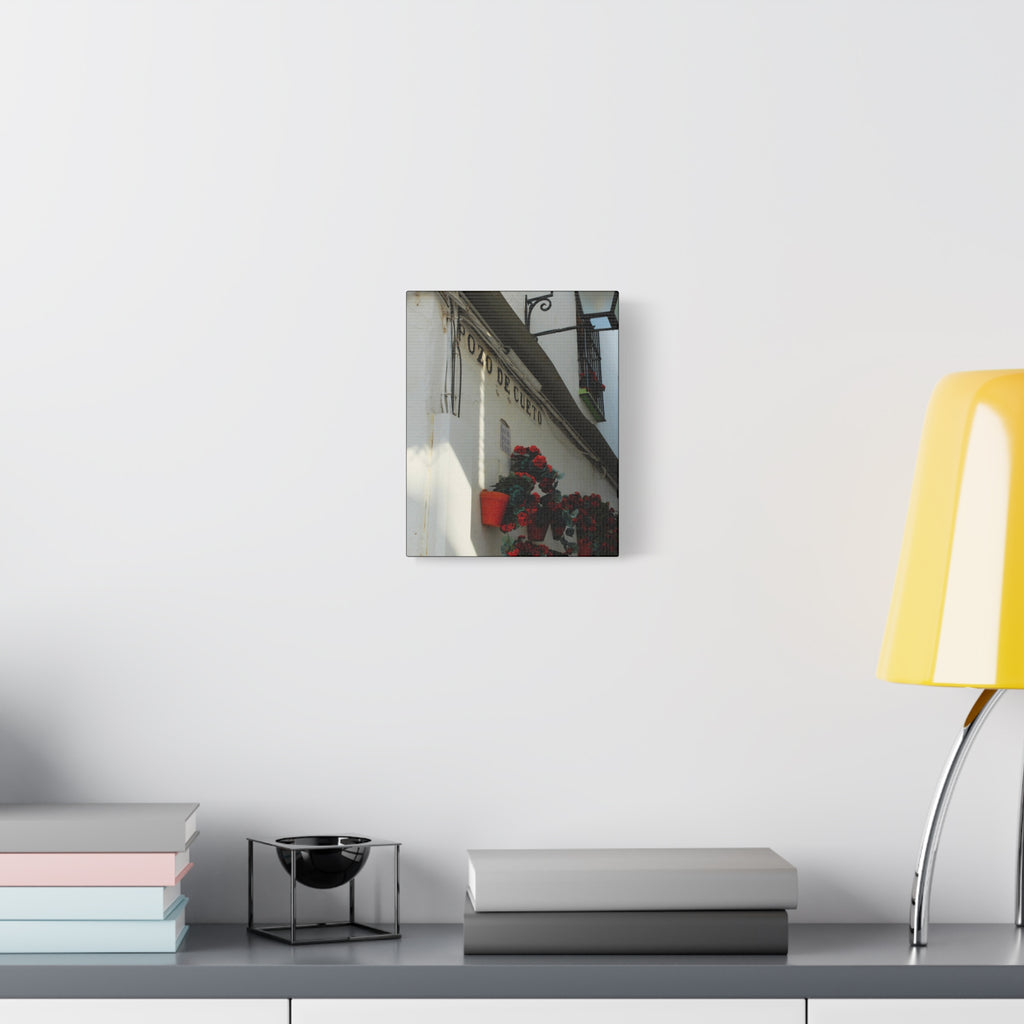 Spanish Street Flowers Canvas Print — 'Pozo de Cueto' Wall Art