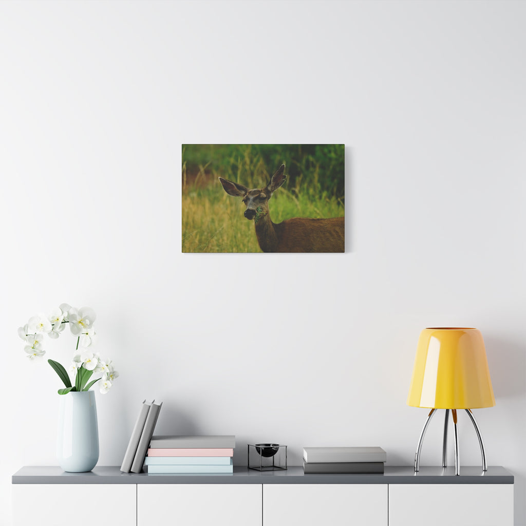 Doe Portrait Matte Canvas Wall Art