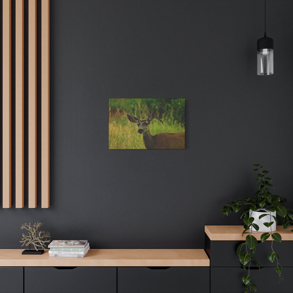 Doe Portrait Matte Canvas Wall Art