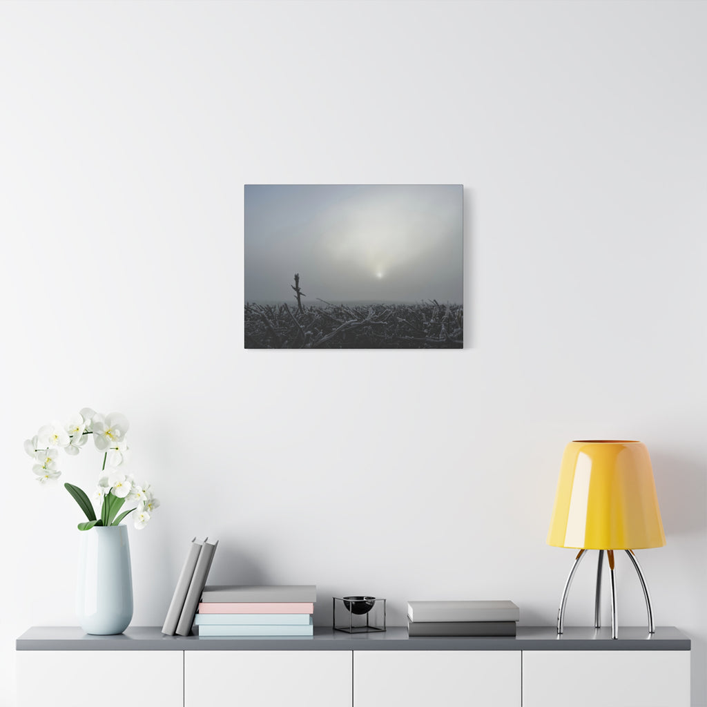 Foggy Sunrise Matte Canvas Wall Art – Moody Winter Landscape