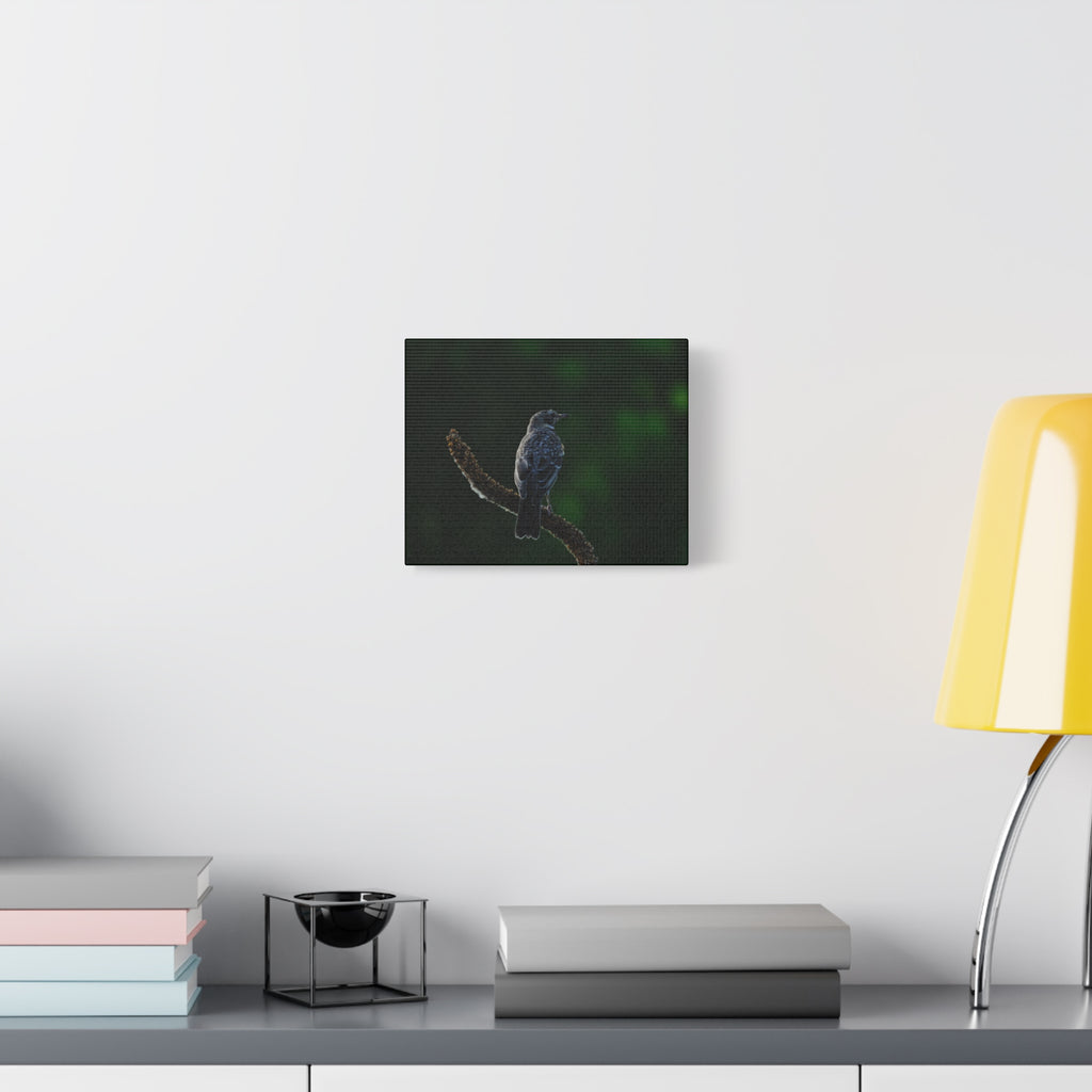 Robin on Branch Matte Canvas Wall Art — Moody Nature Photography Print