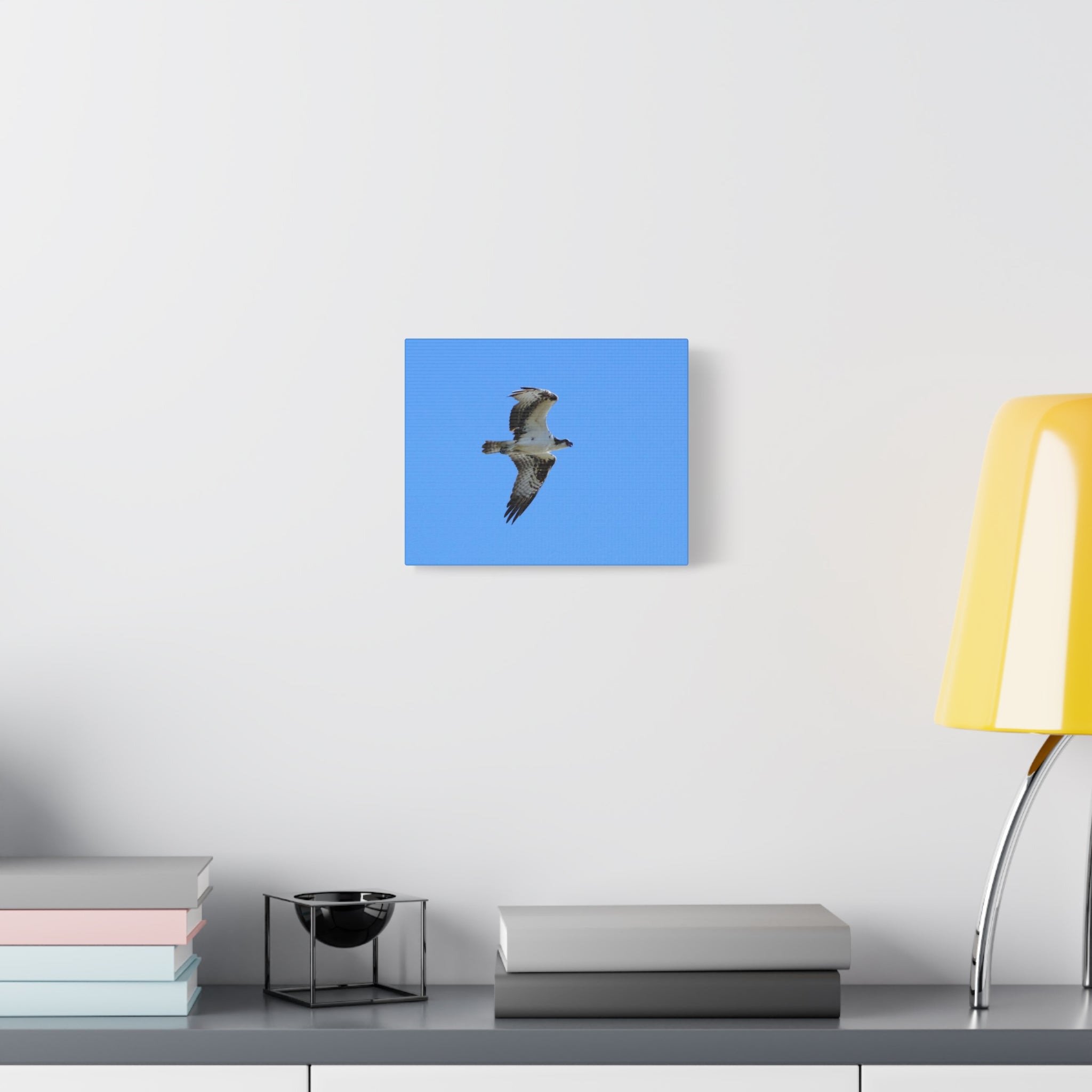 Osprey in Flight Matte Canvas Print — Stretched Wall Art