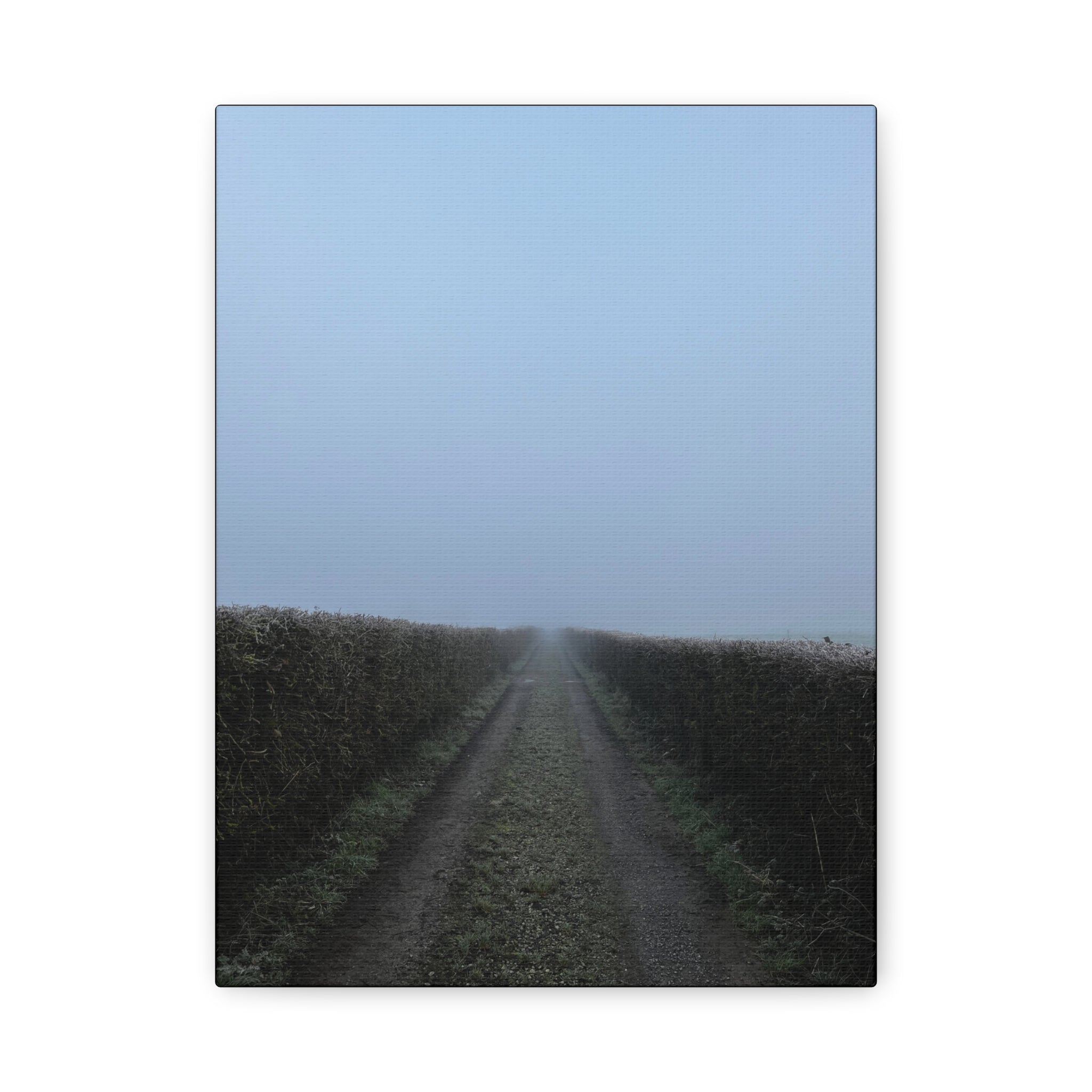 Foggy Country Lane Matte Canvas Wall Art — Stretched 1.25"