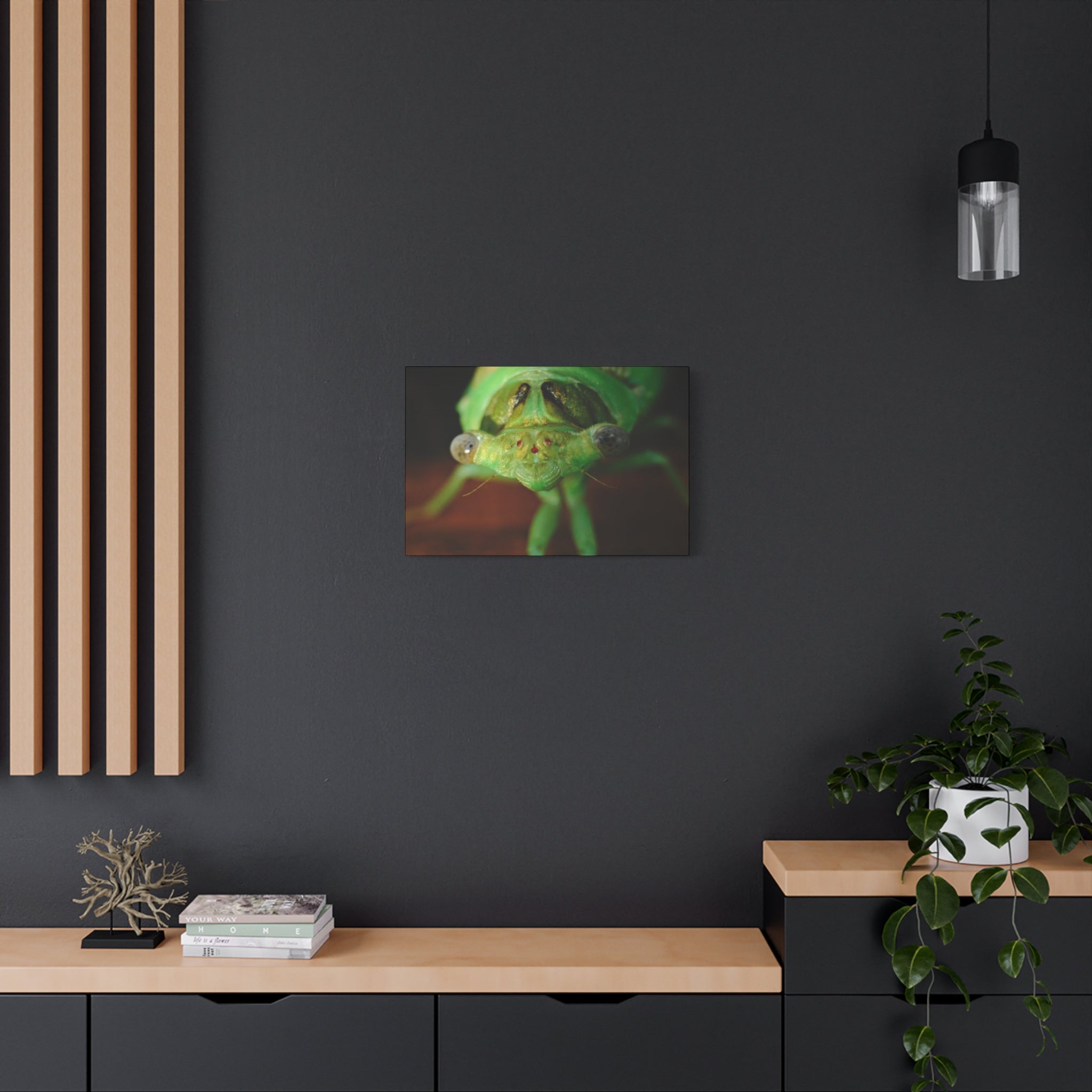 Cute Green Cicada Macro Canvas Print — Close-Up Insect Wall Art