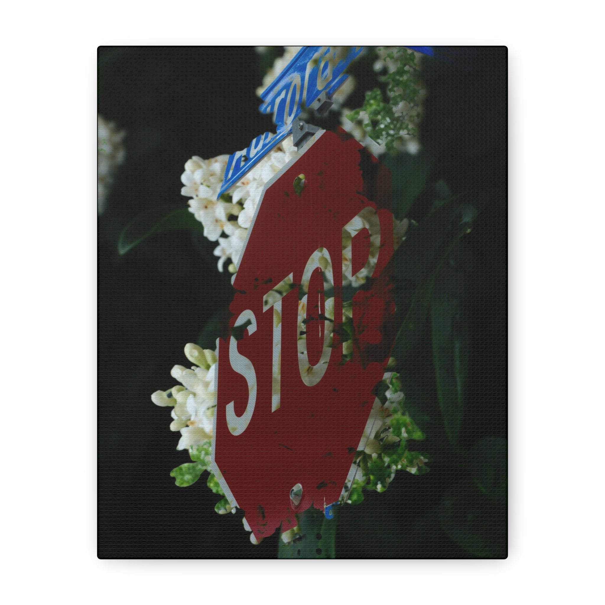 Stop Sign Floral Canvas Print — Matte Stretched Wall Art