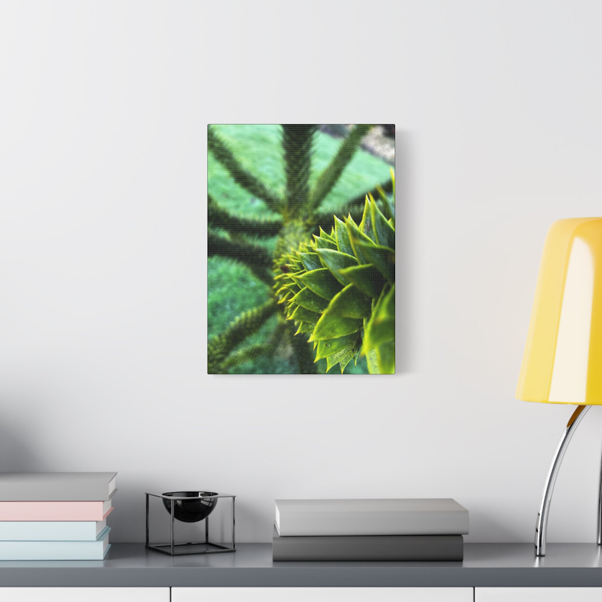 Irish Green Succulent Canvas Wall Art – Matte Stretched 1.25"