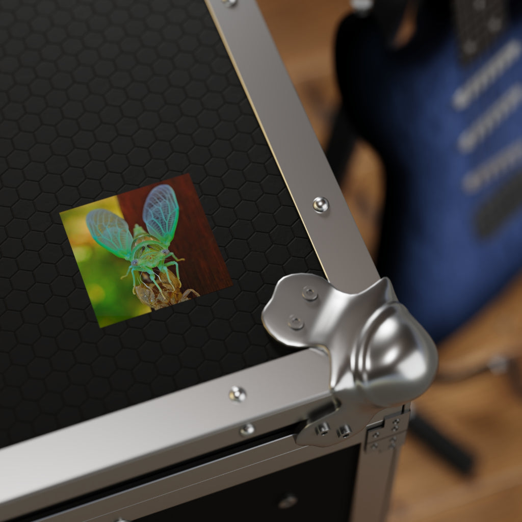 Cicada Square Sticker — Vivid Green Insect Photo Sticker (Indoor/Outdoor)