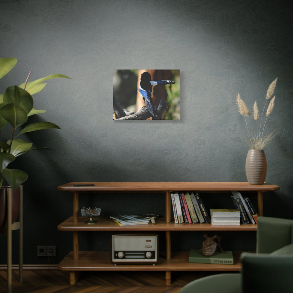 Black-billed Magpie Wildlife Canvas Print — Matte Stretched Wall Art