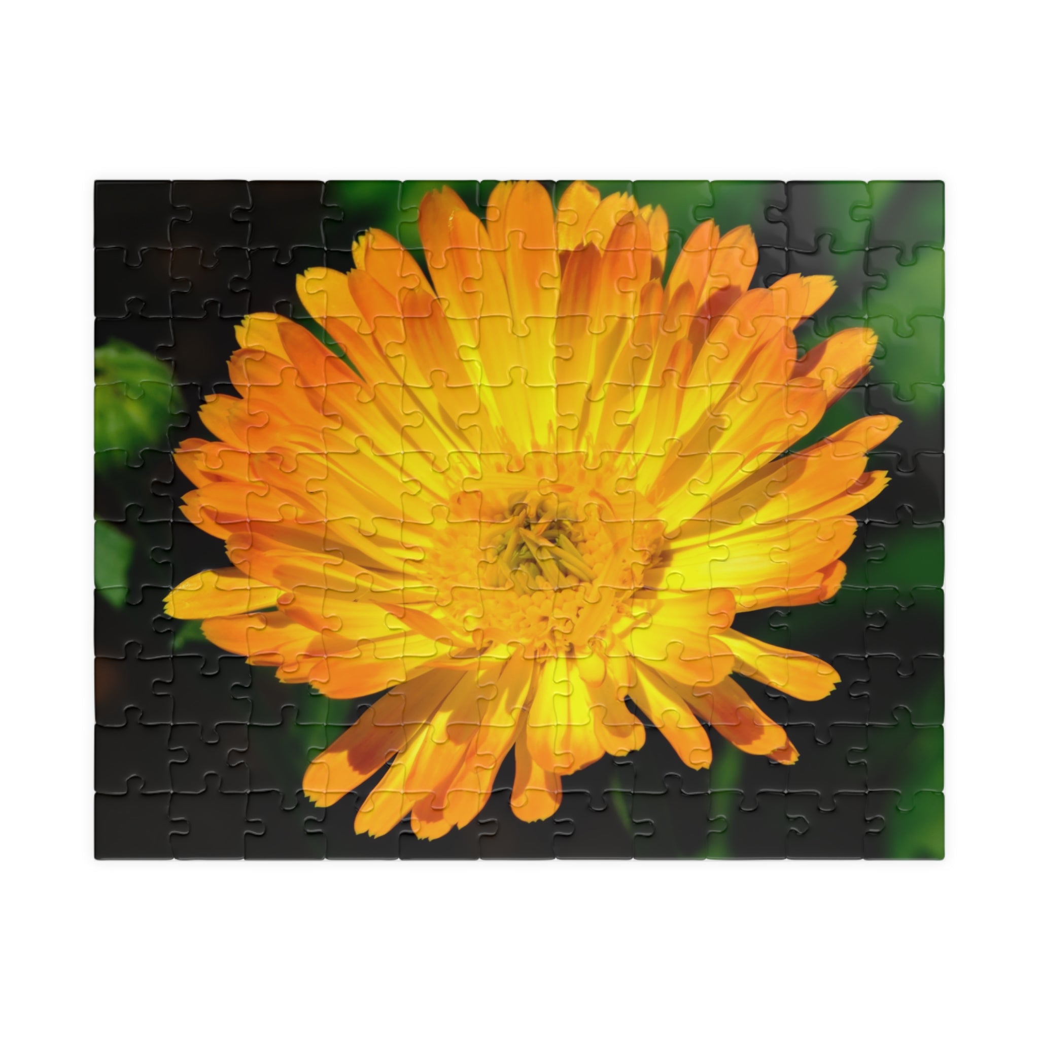 Marigold Bloom Jigsaw Puzzle — 252/520/1014-Piece Floral Puzzle