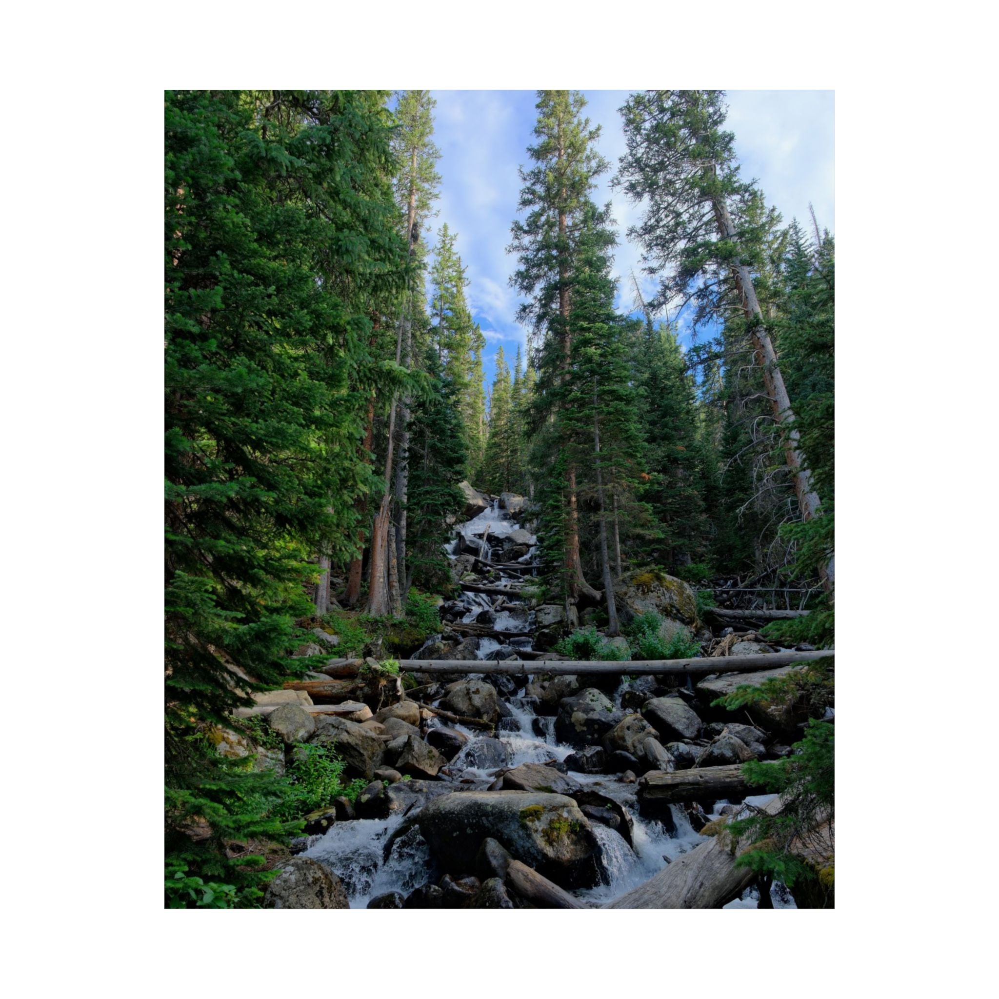 Mountain Stream Forest Matte Poster — Vertical Nature Wall Art
