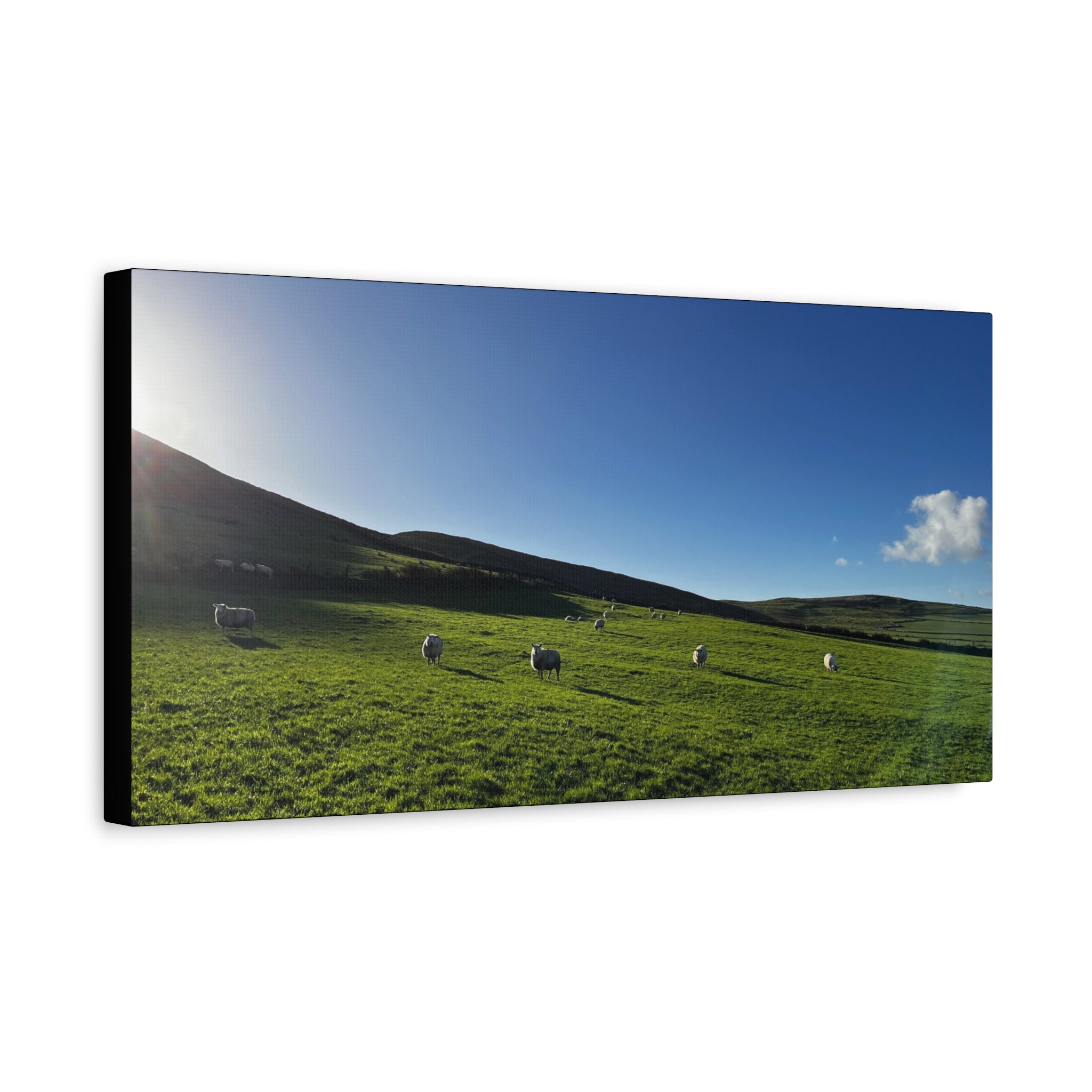 Irish sheep Pasture Canvas Print — Sheep Landscape Matte Stretched Wall Art
