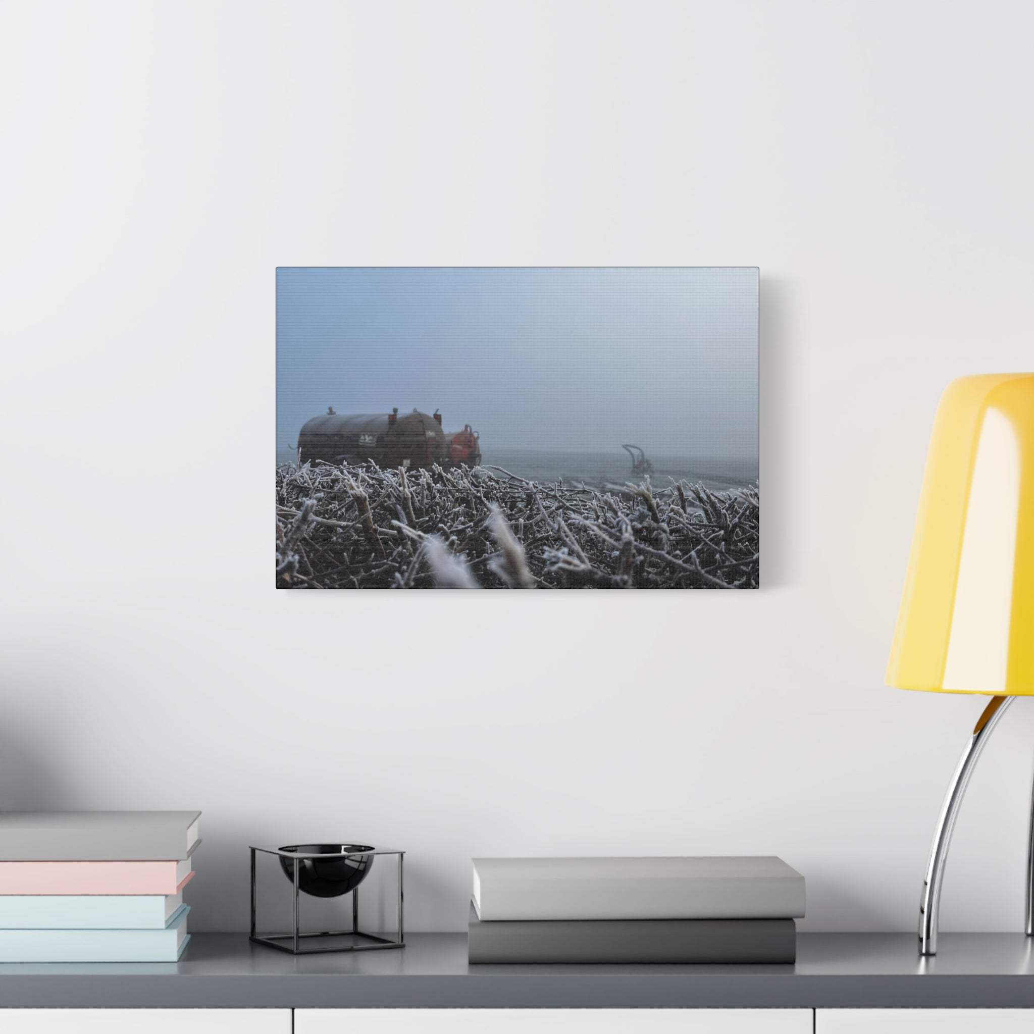 Irish Frost Farm Canvas Print — Foggy Shoreline with Frosted Driftwood