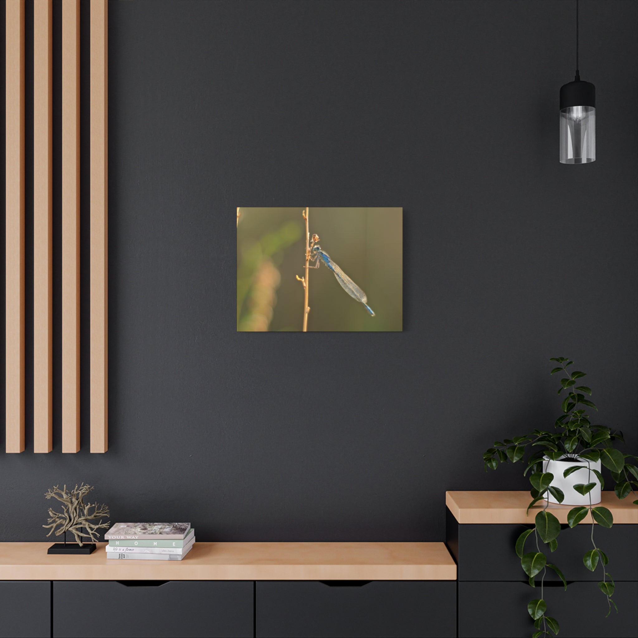 Blue Dragonfly Macro Canvas Print — Blue Damselfly Nature Wall Art, Matte Stretched 1.25"