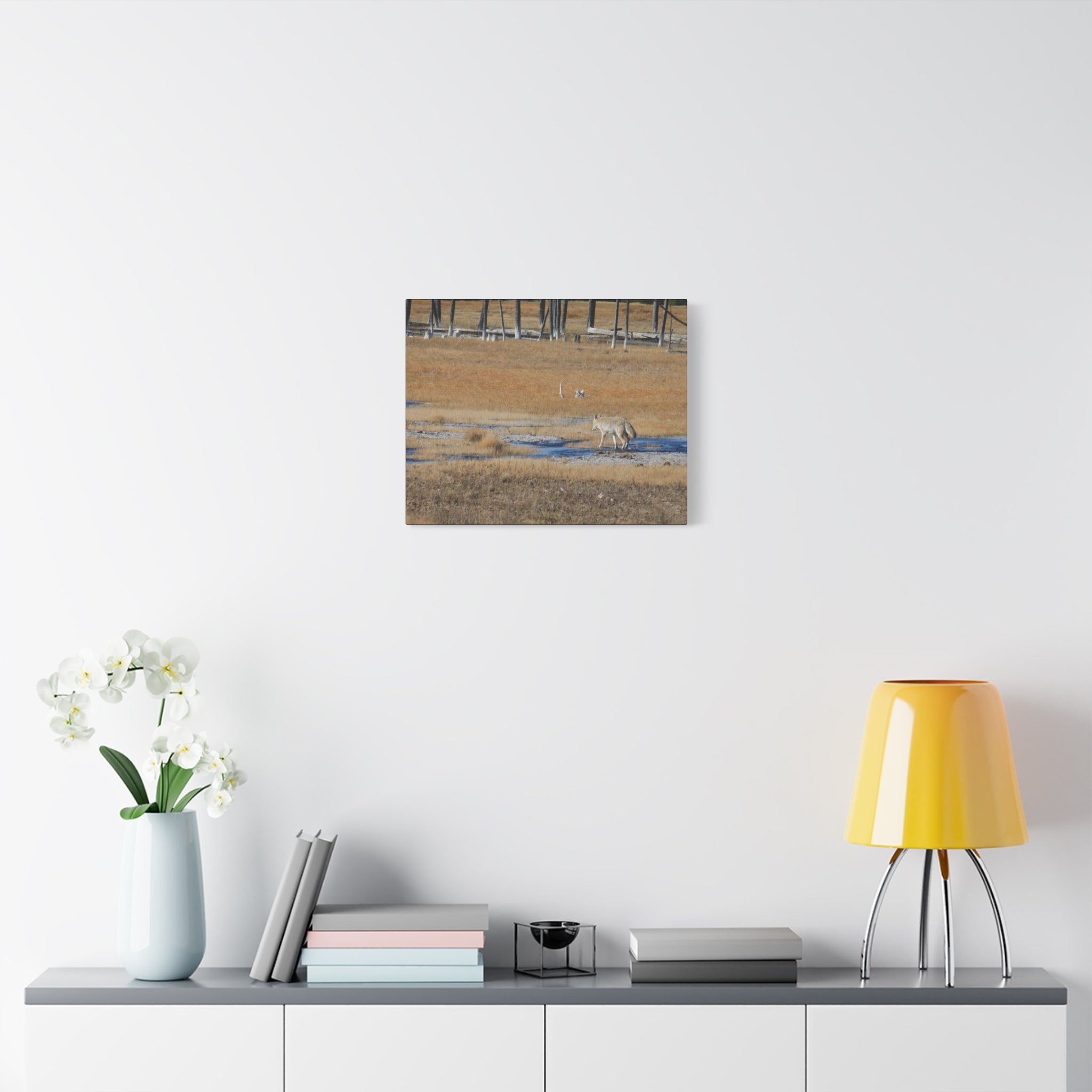 Coyote Canvas Wall Art — Wildlife Landscape Matte Stretched Print