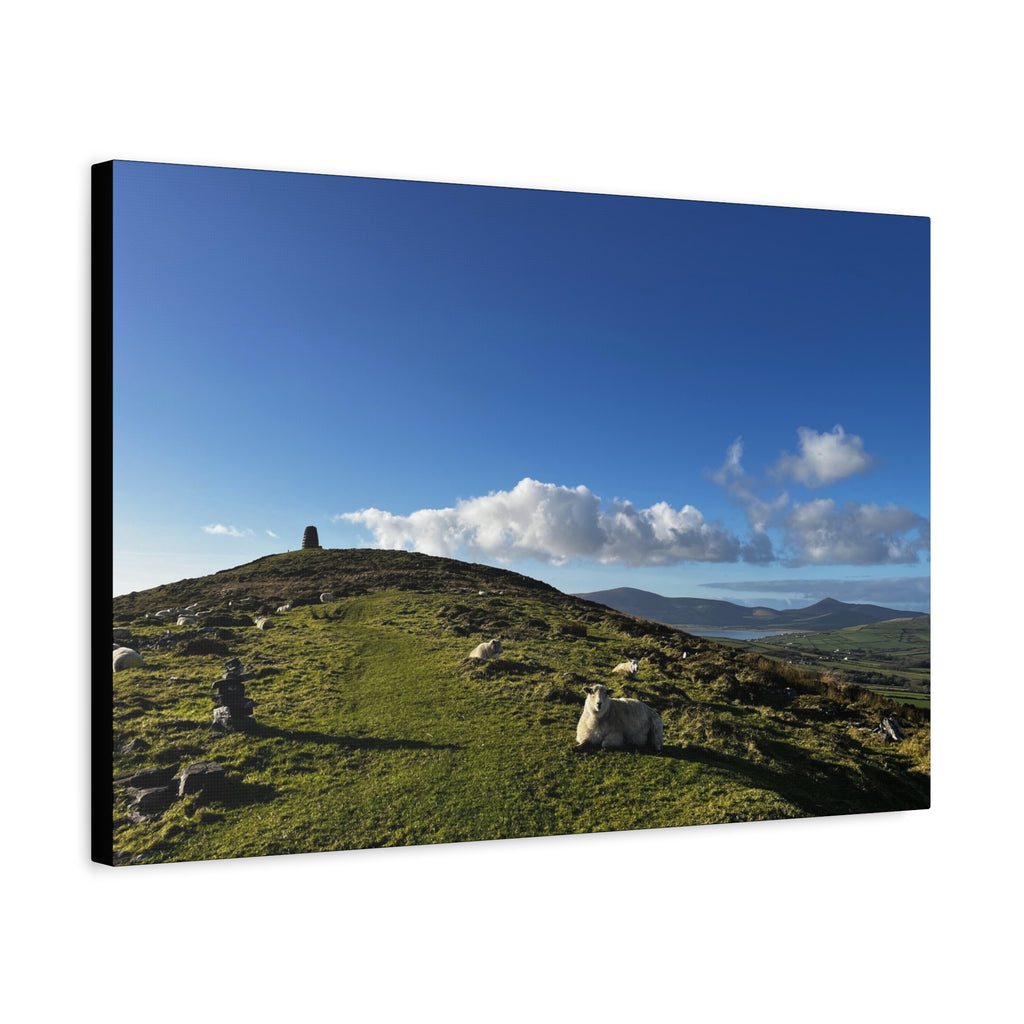 Sheep Lookout Canvas Print – Rolling Green Hills with Blue Sky