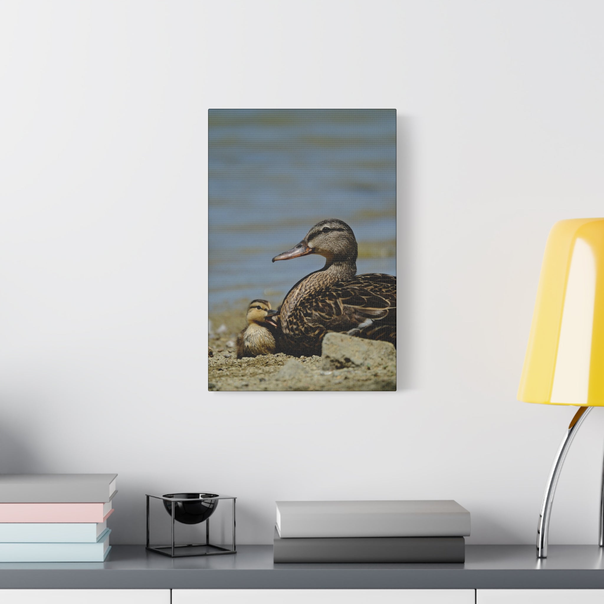 Duck and Duckling Canvas Print — Mother & Baby Wildlife Wall Art