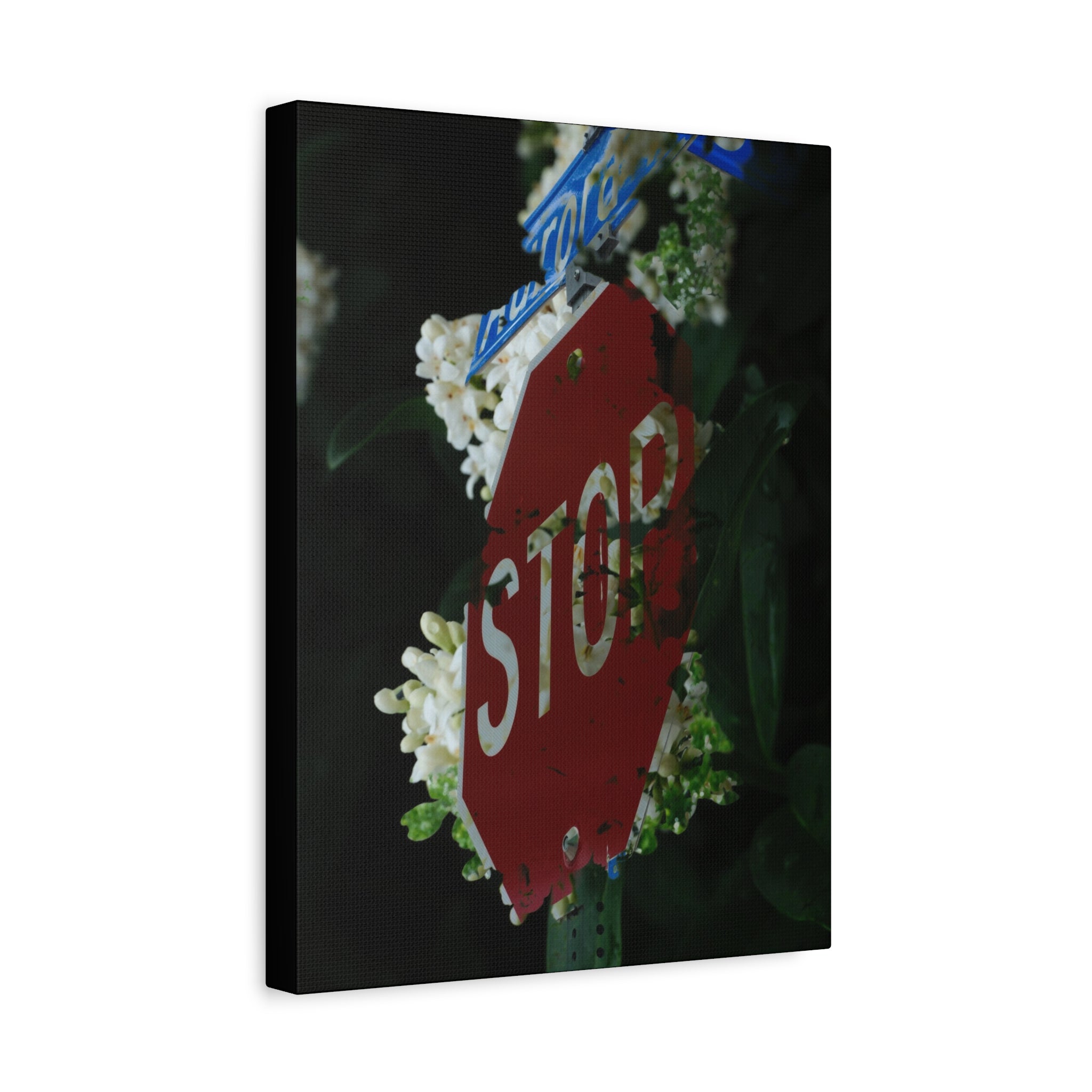 Stop Sign Floral Canvas Print — Matte Stretched Wall Art