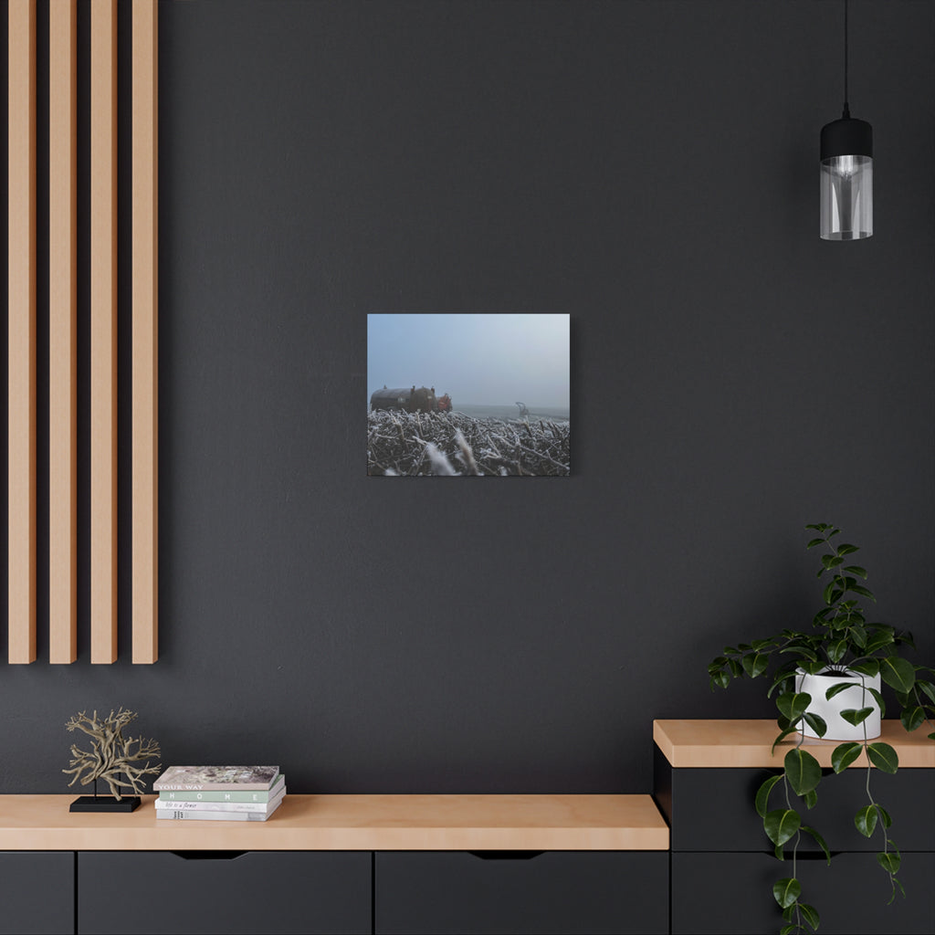 Irish Frost Farm Canvas Print — Foggy Shoreline with Frosted Driftwood