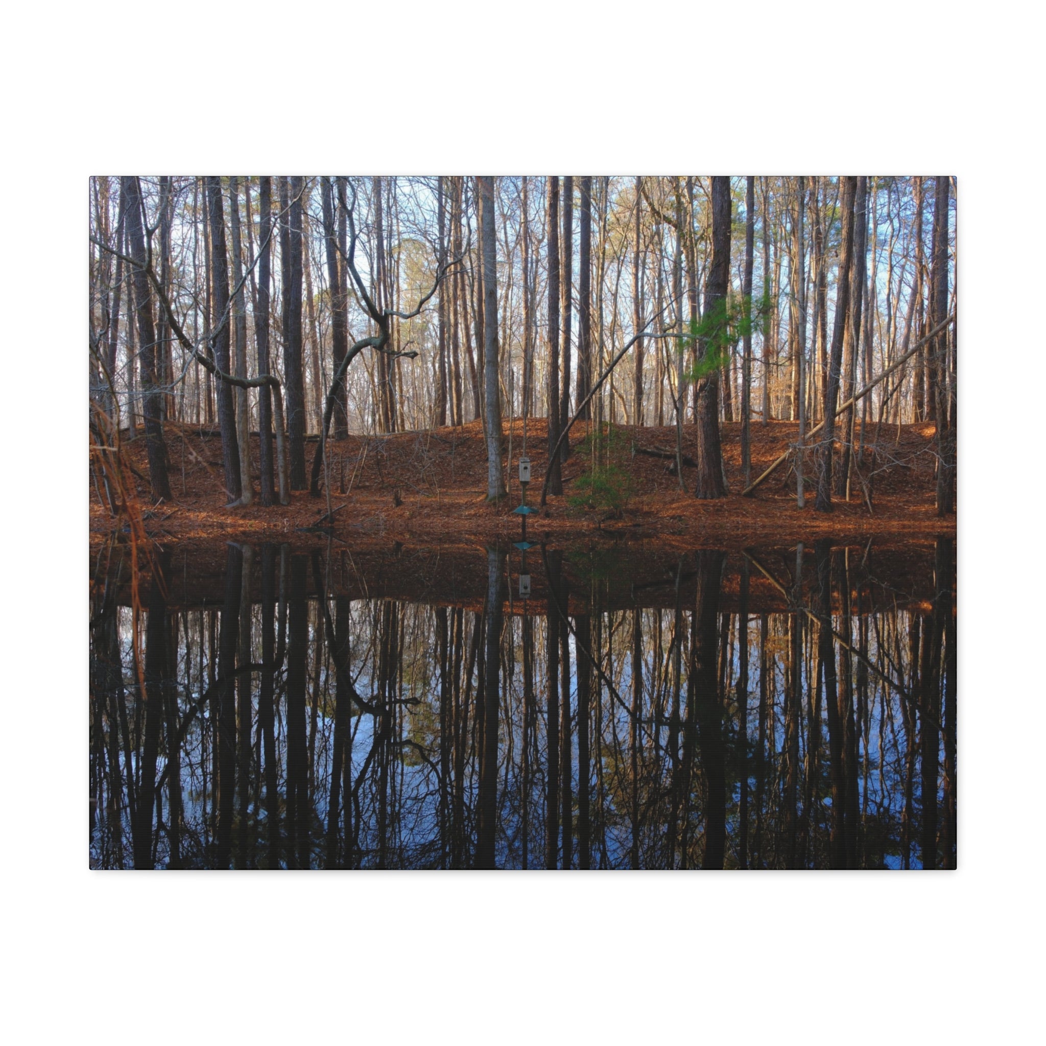 Woodland Reflection Matte Canvas Art – Stretched 1.25" Wall Decor