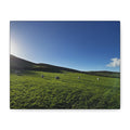 Irish sheep Pasture Canvas Print — Sheep Landscape Matte Stretched Wall Art