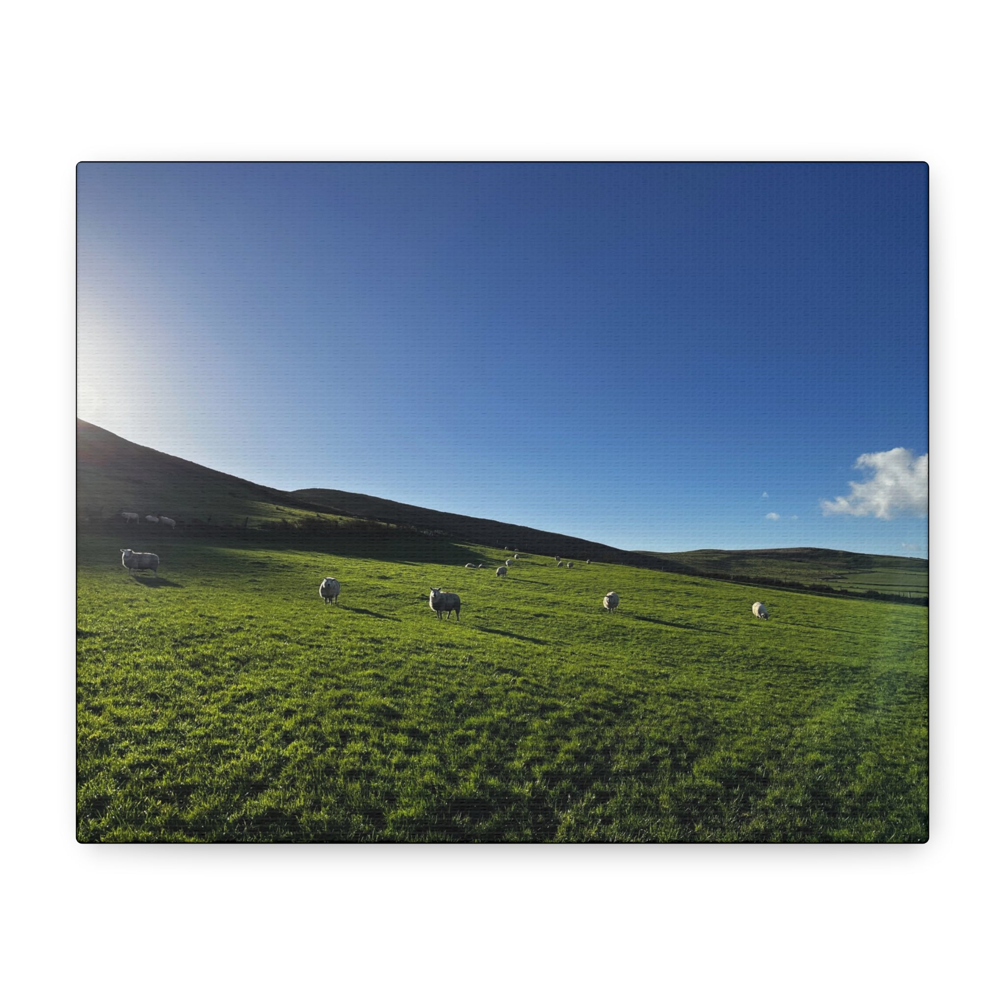 Irish sheep Pasture Canvas Print — Sheep Landscape Matte Stretched Wall Art